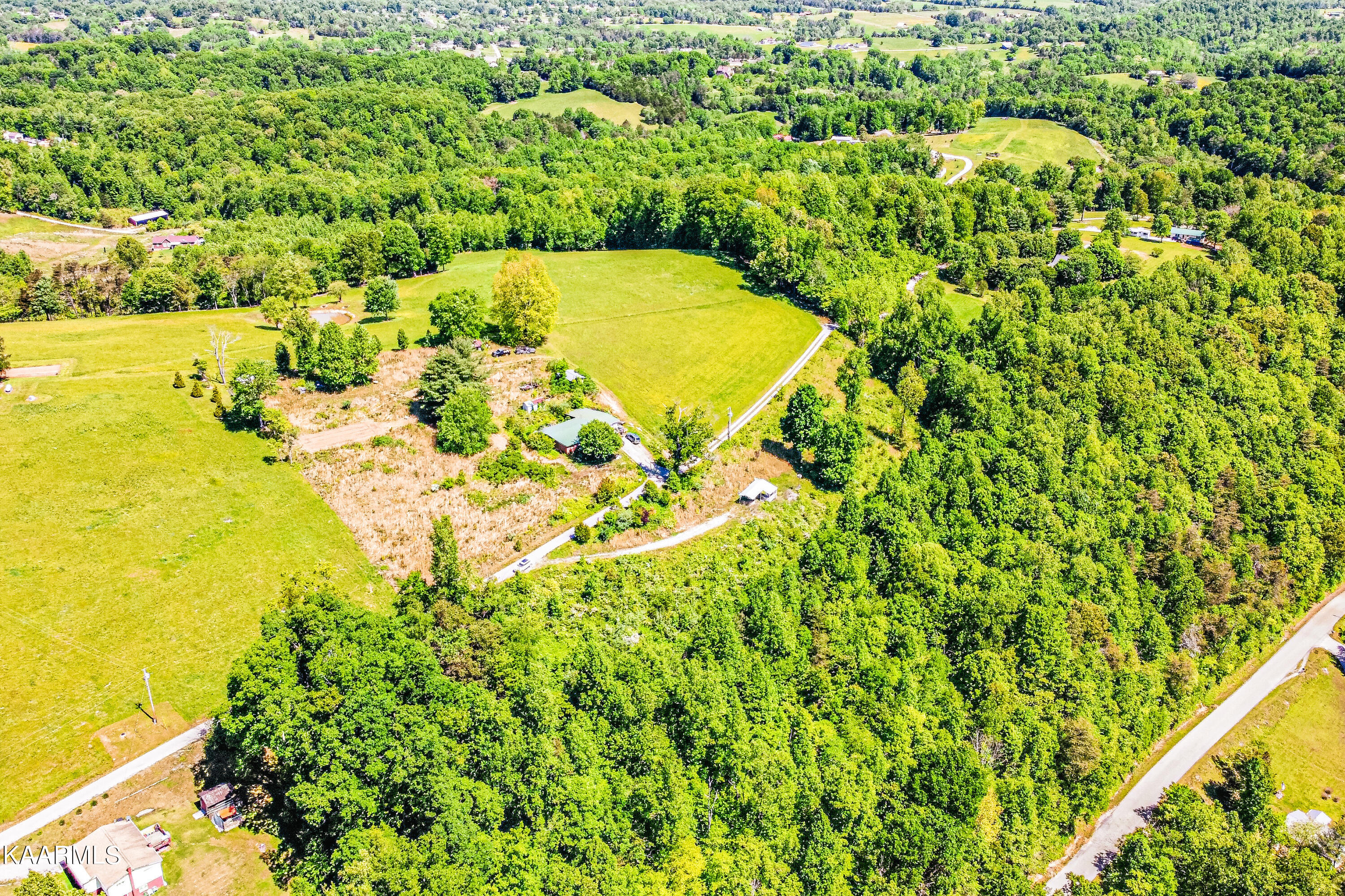 Lynn Lane, LaFollette