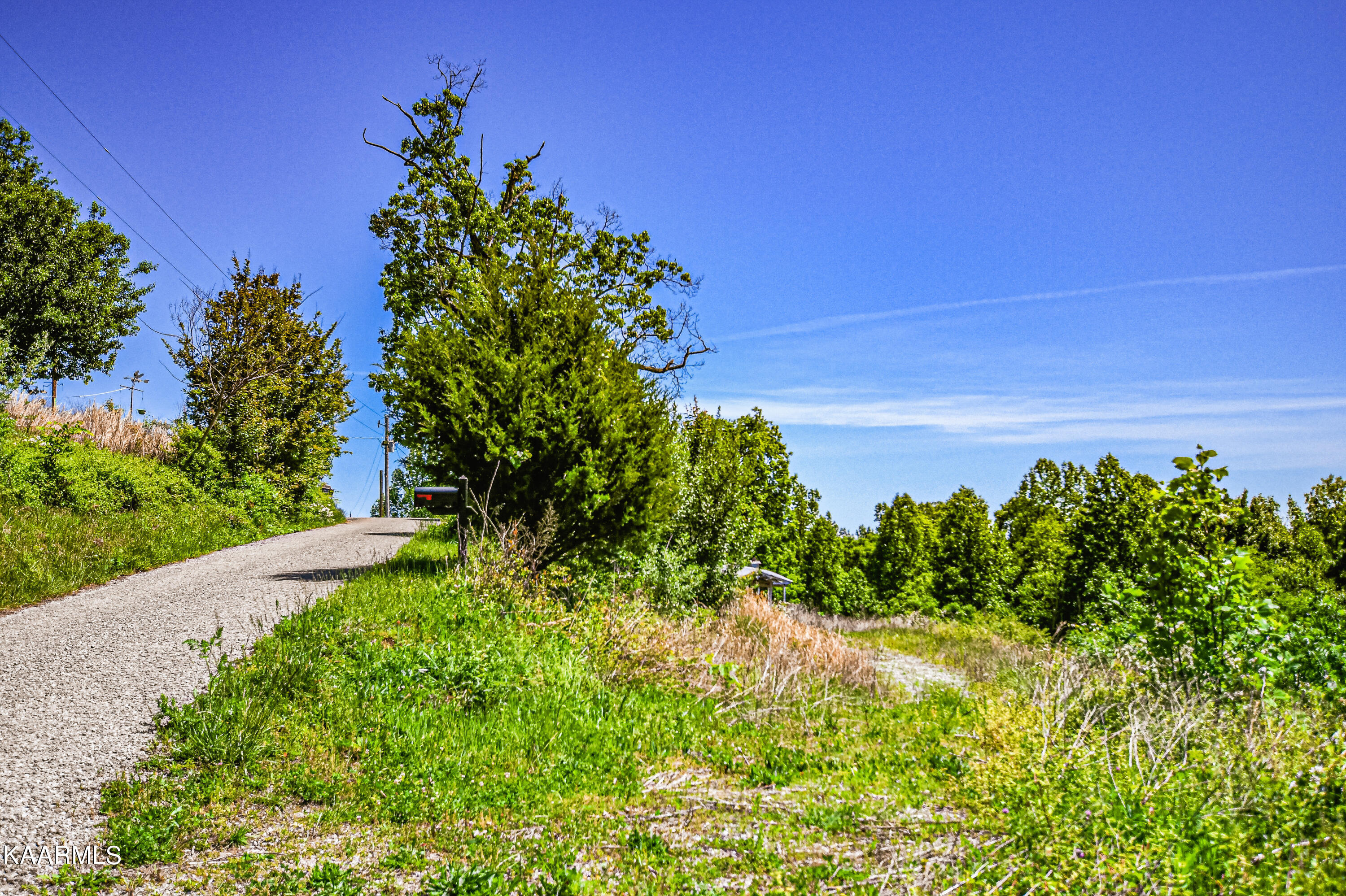 Lynn Lane, LaFollette