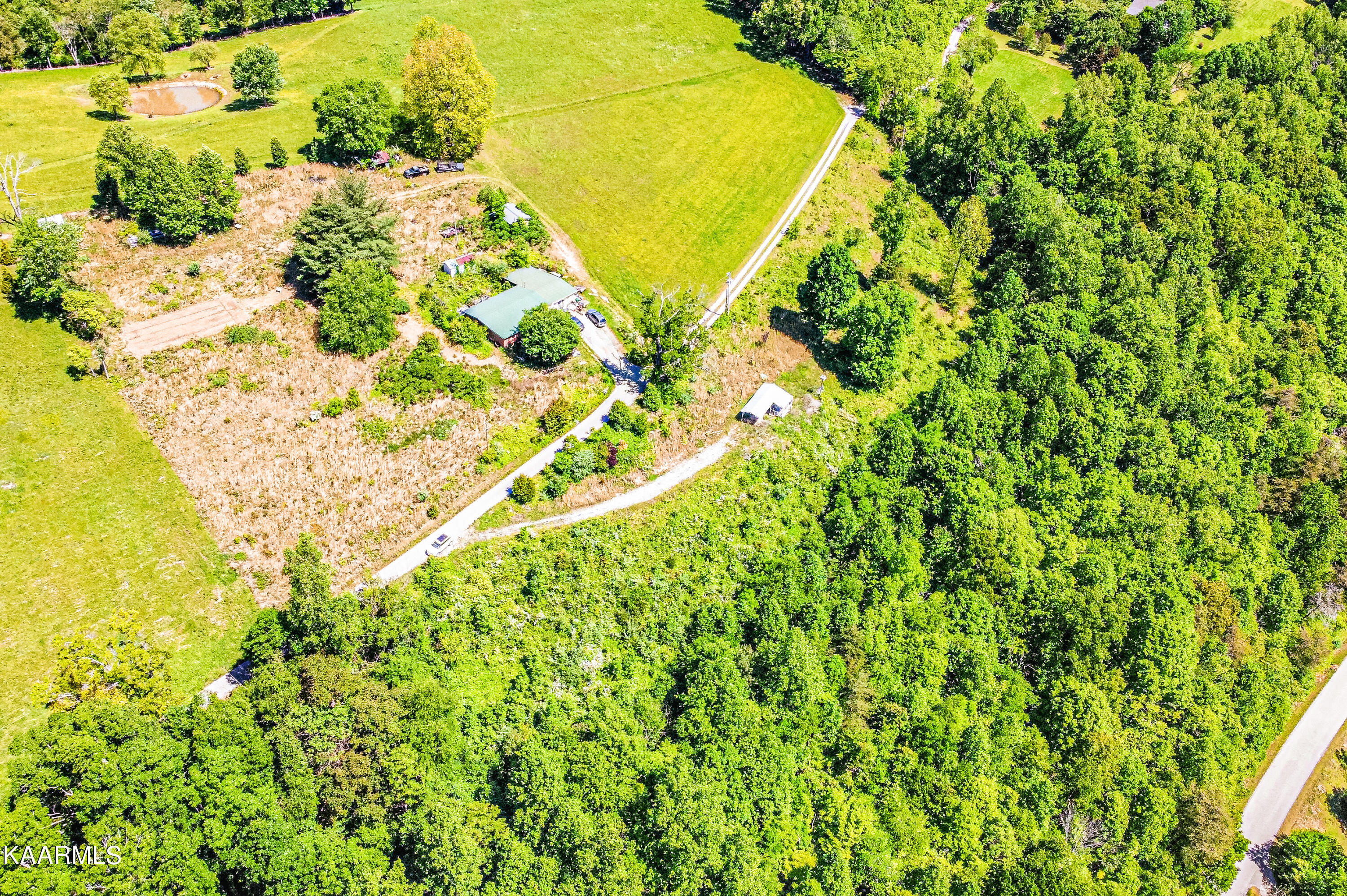 Lynn Lane, LaFollette