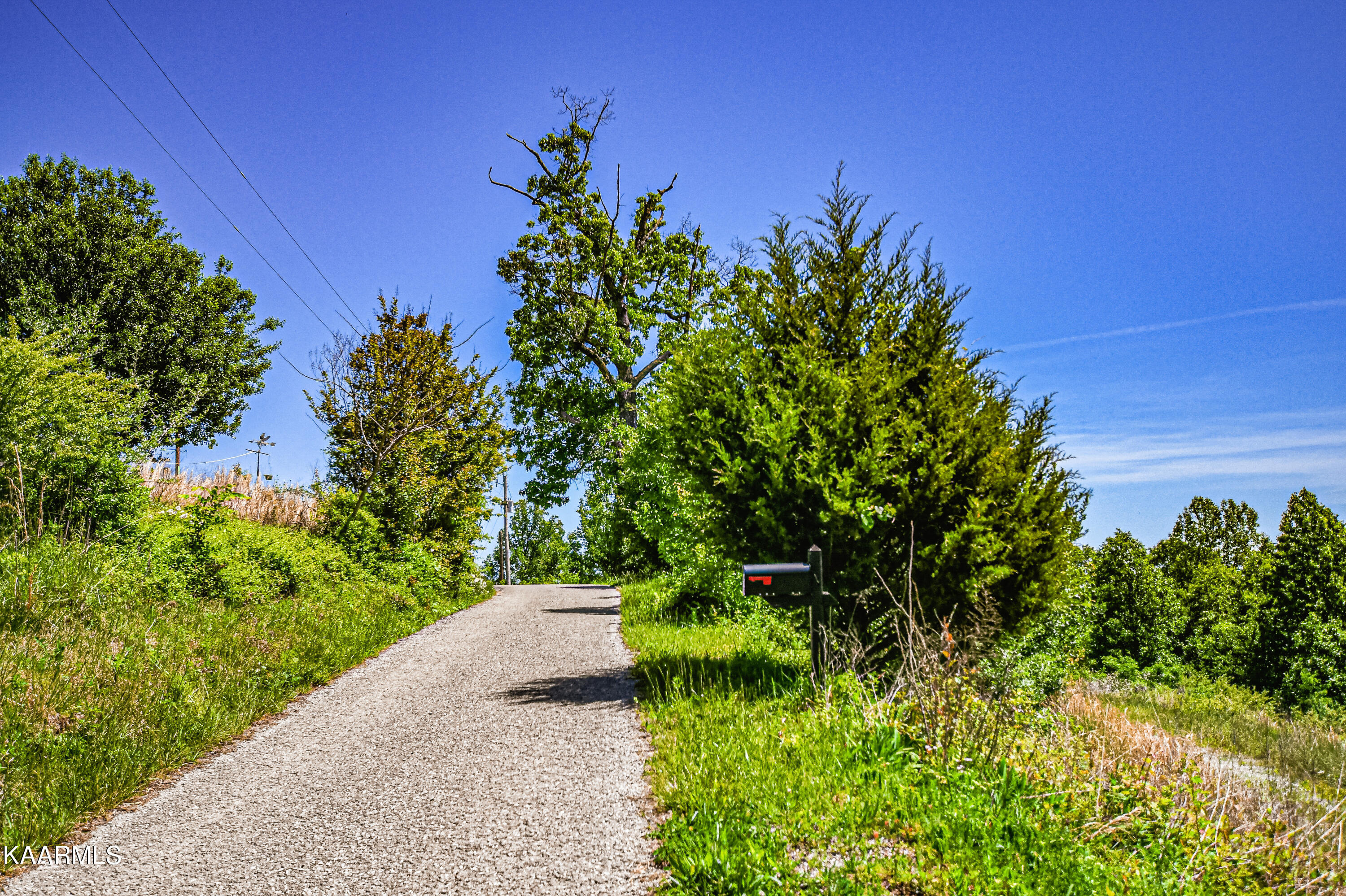 Lynn Lane, LaFollette