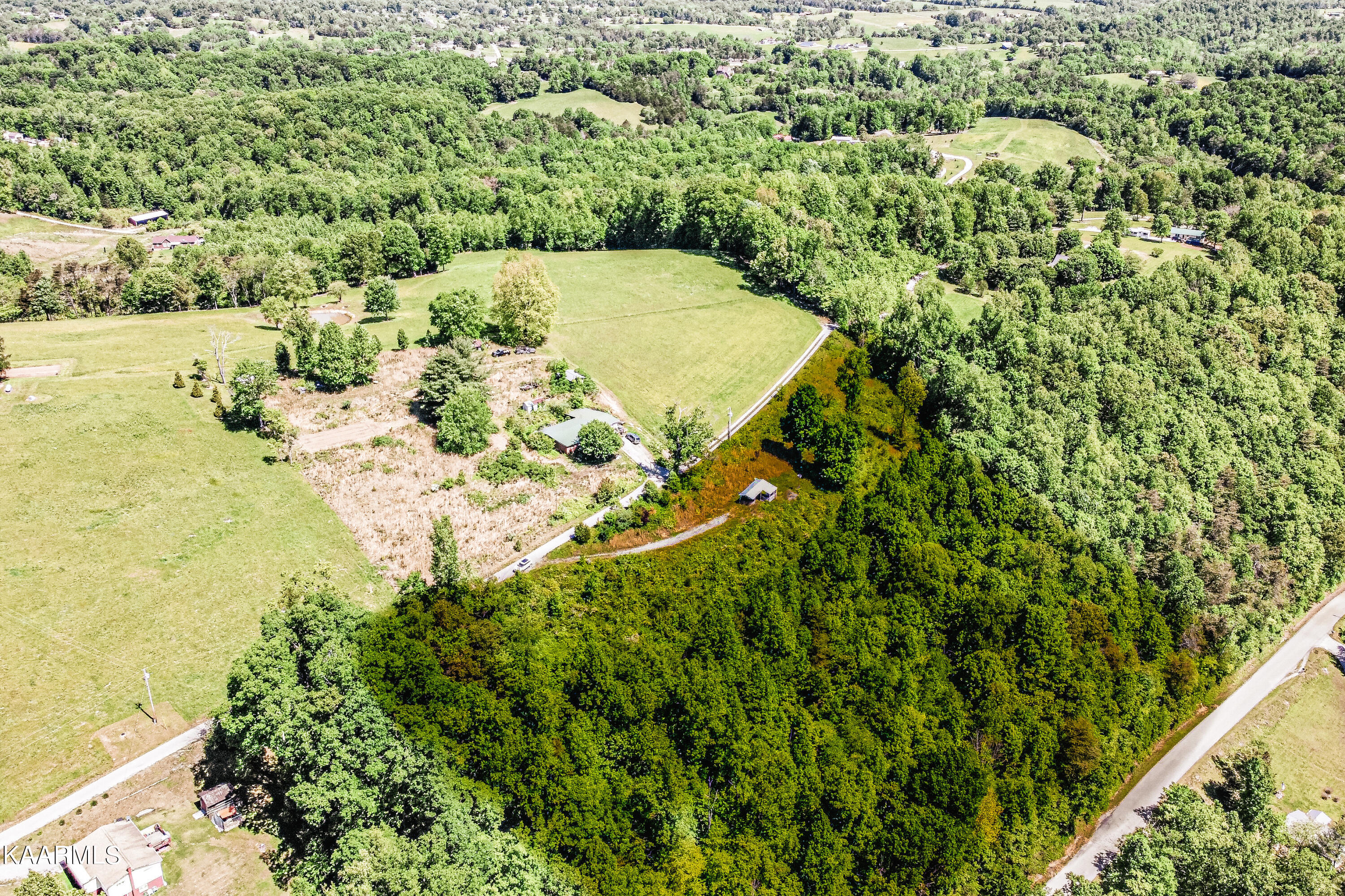 Lynn Lane, LaFollette