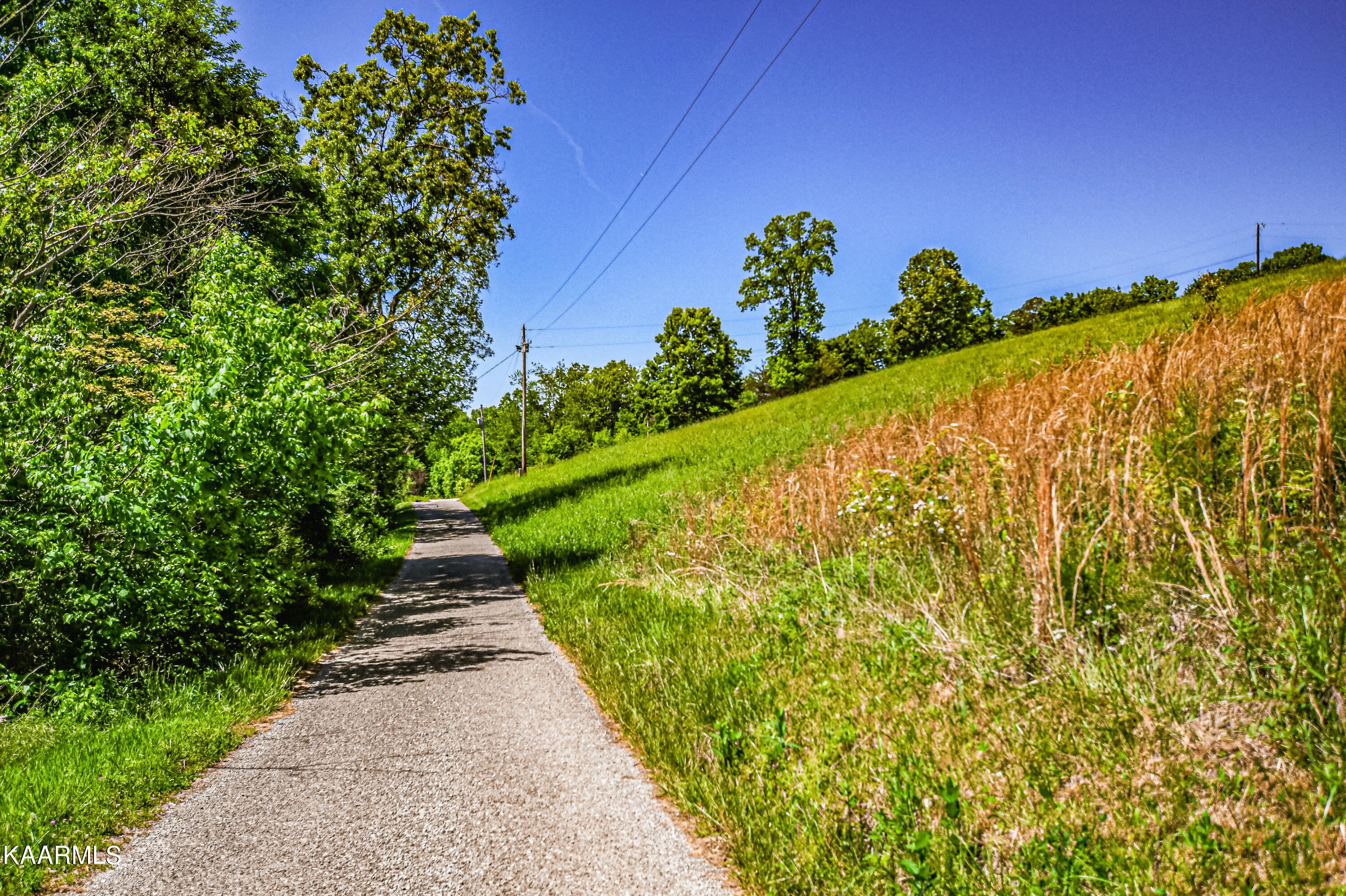 Lynn Lane, LaFollette