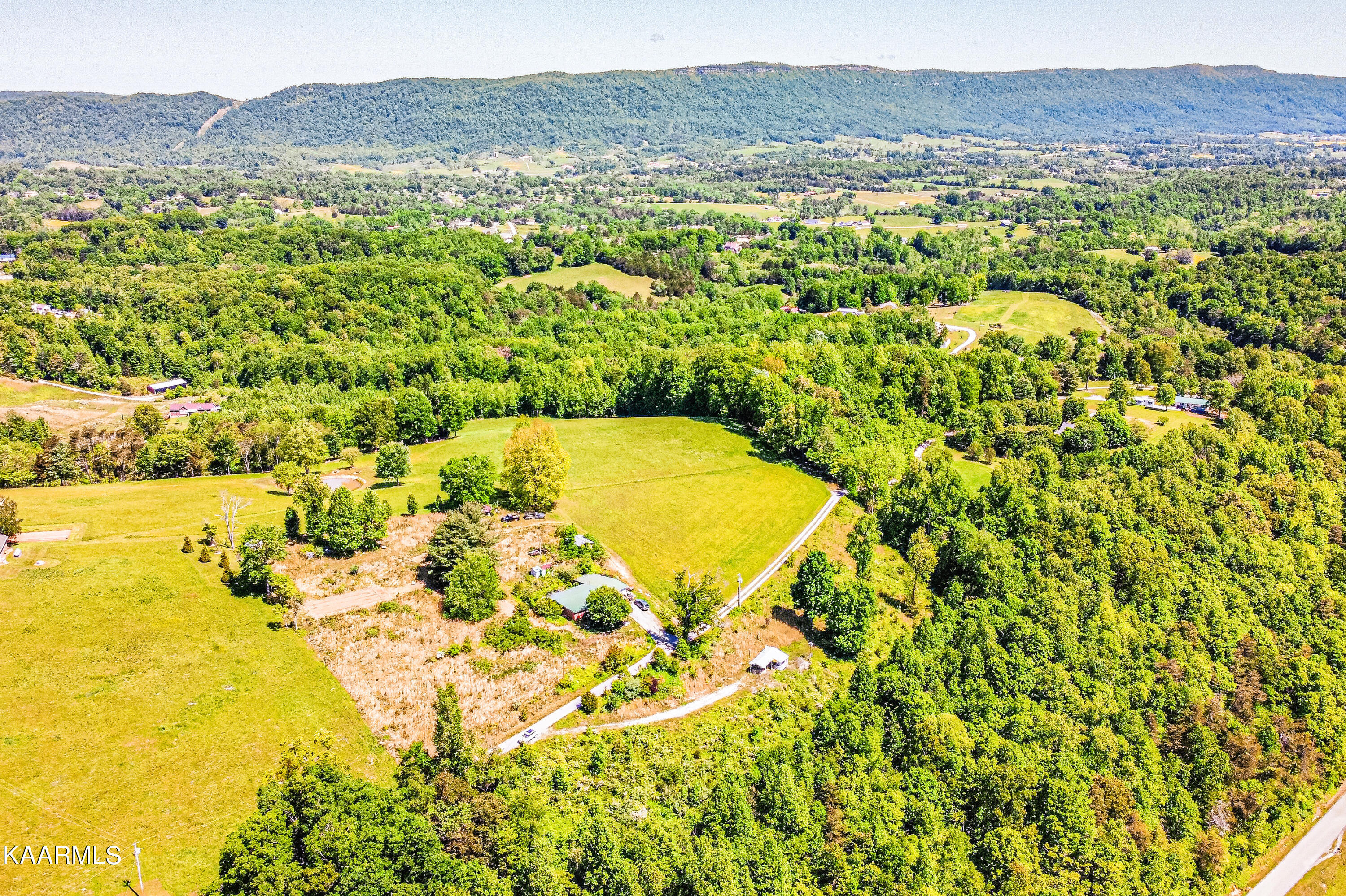 Lynn Lane, LaFollette