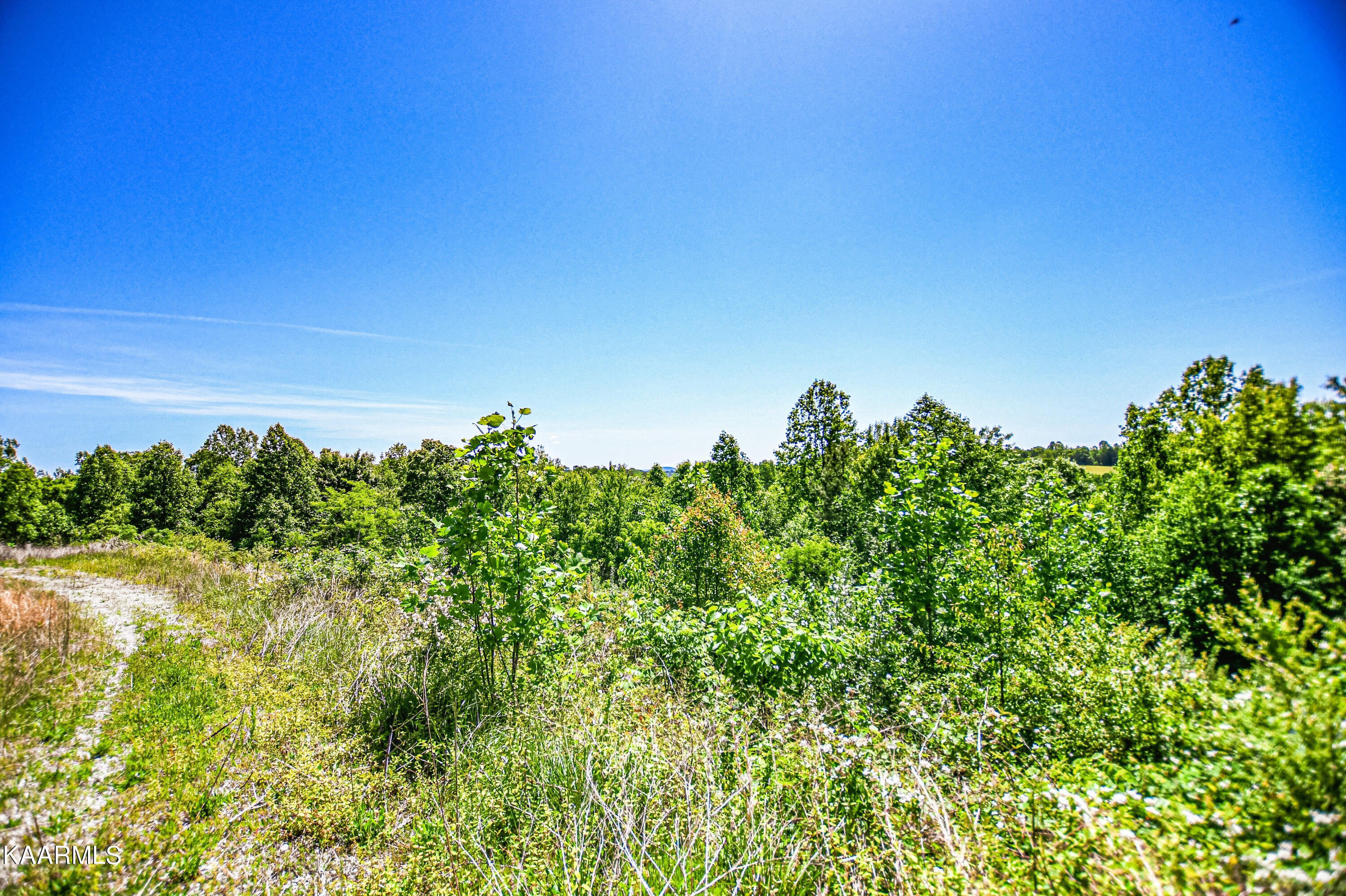 Lynn Lane, LaFollette