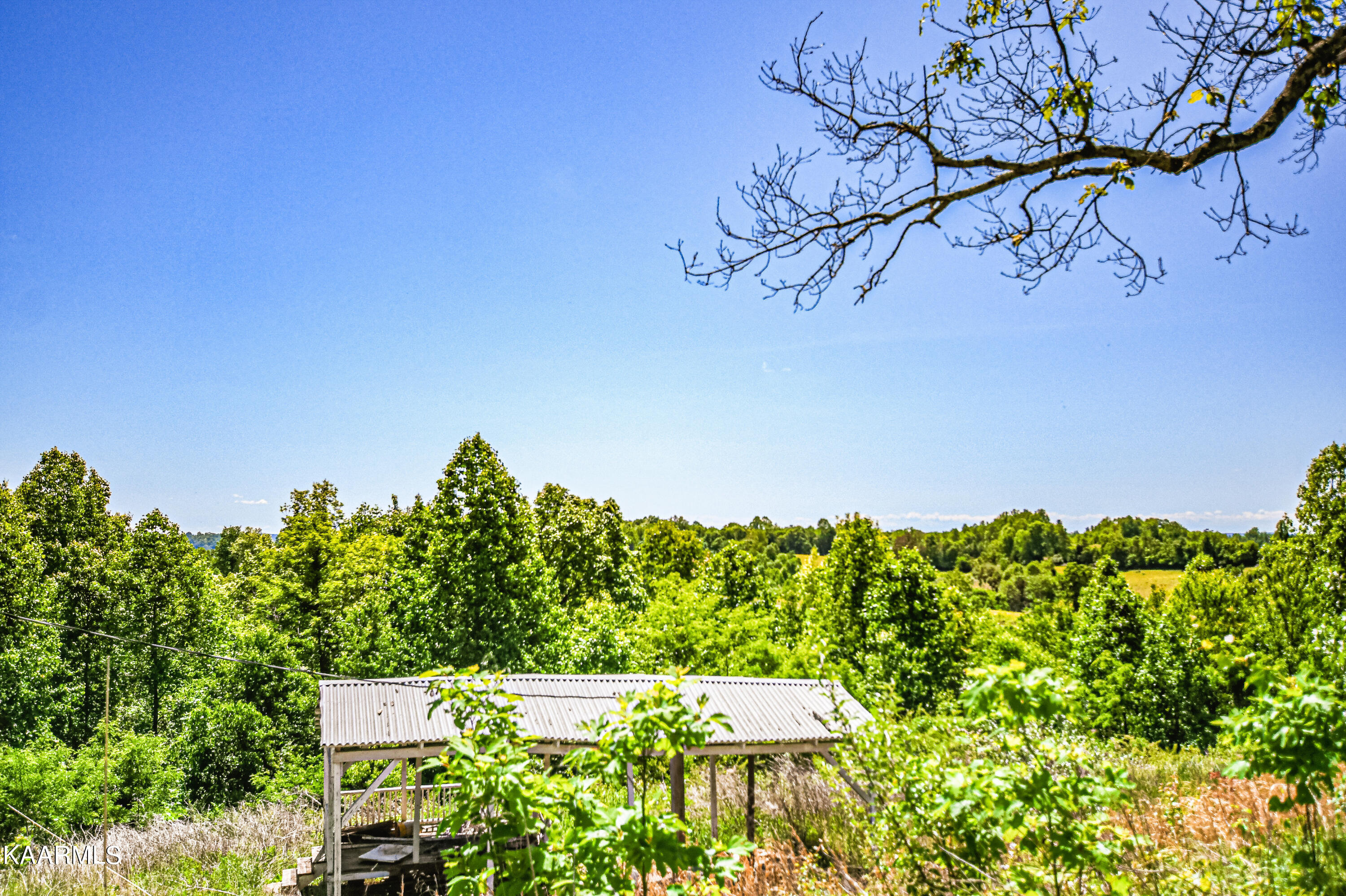 Lynn Lane, LaFollette