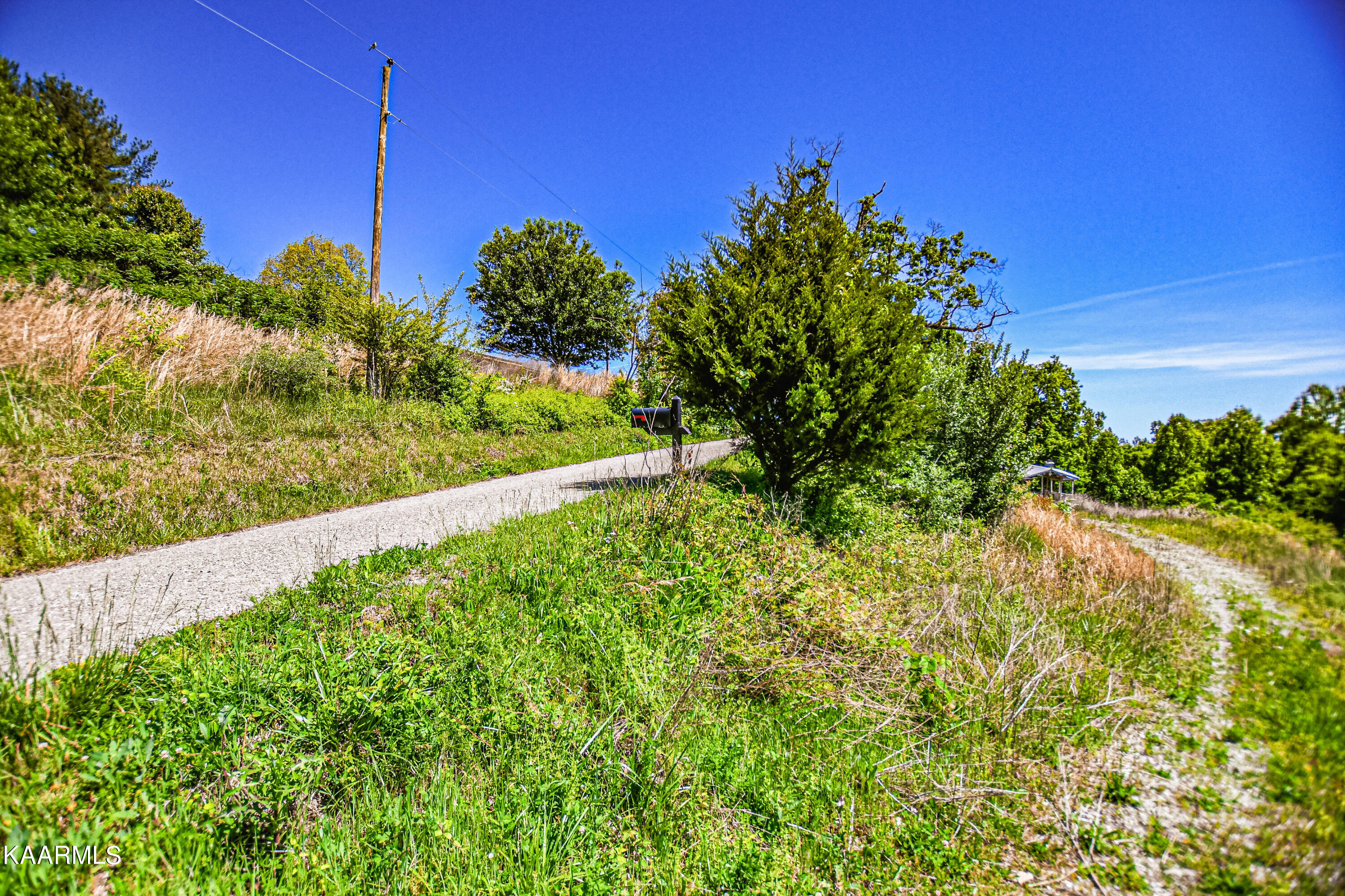 Lynn Lane, LaFollette