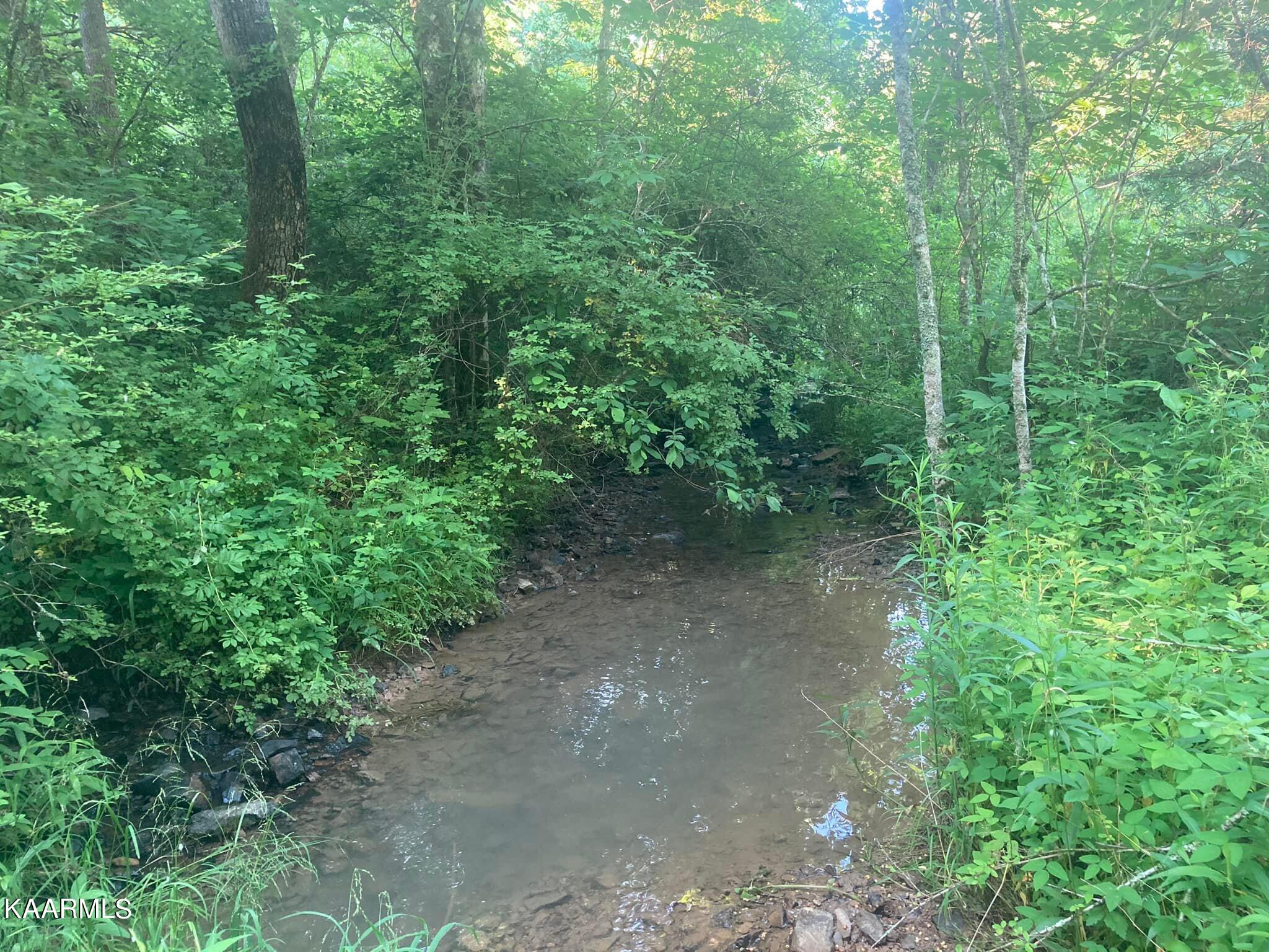 282 Lone Mountain Rd