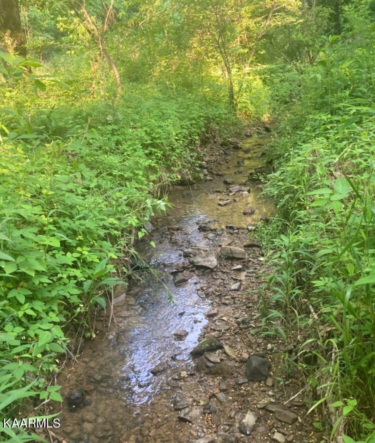 282 Lone Mountain Rd