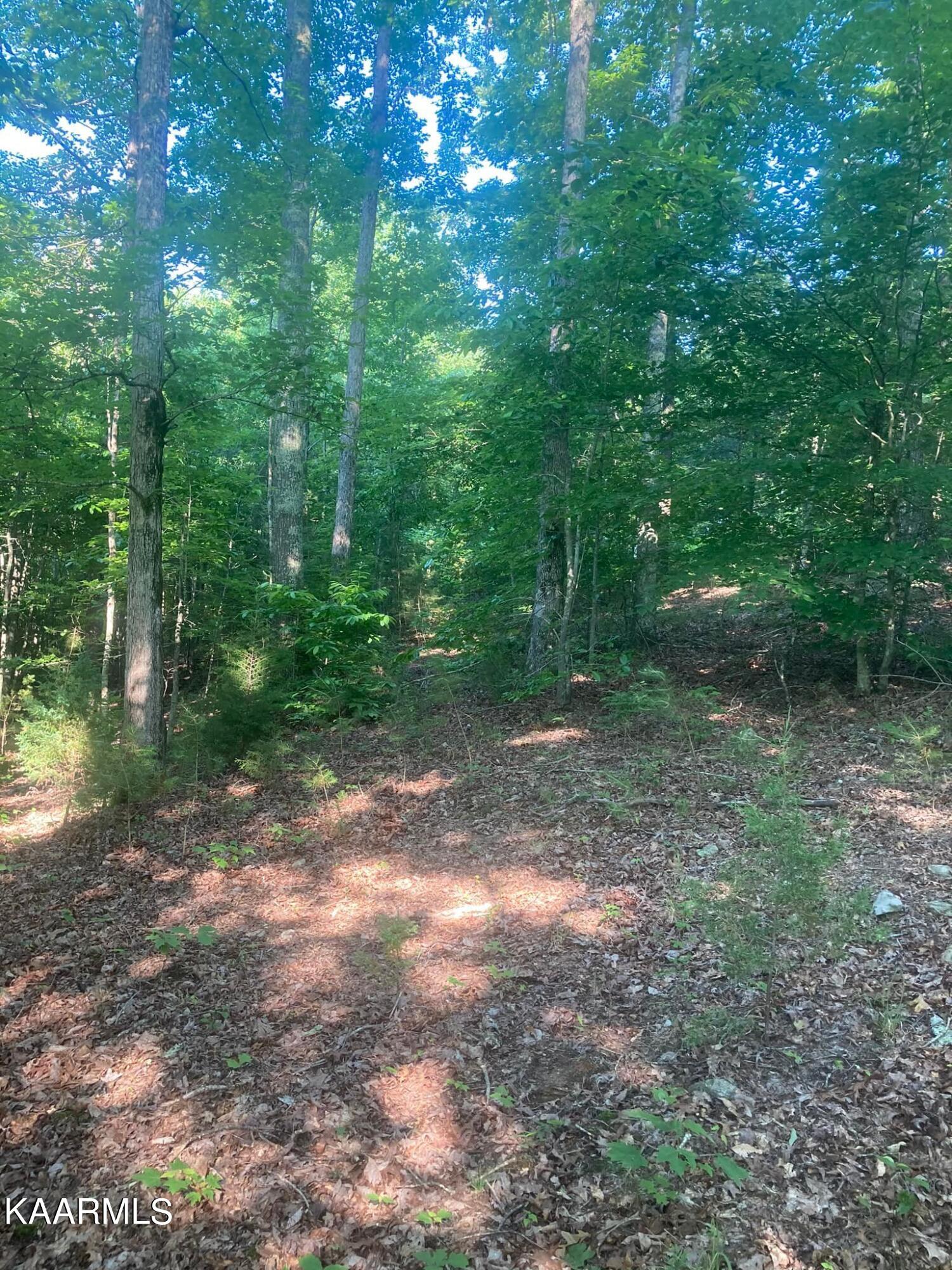 282 Lone Mountain Rd