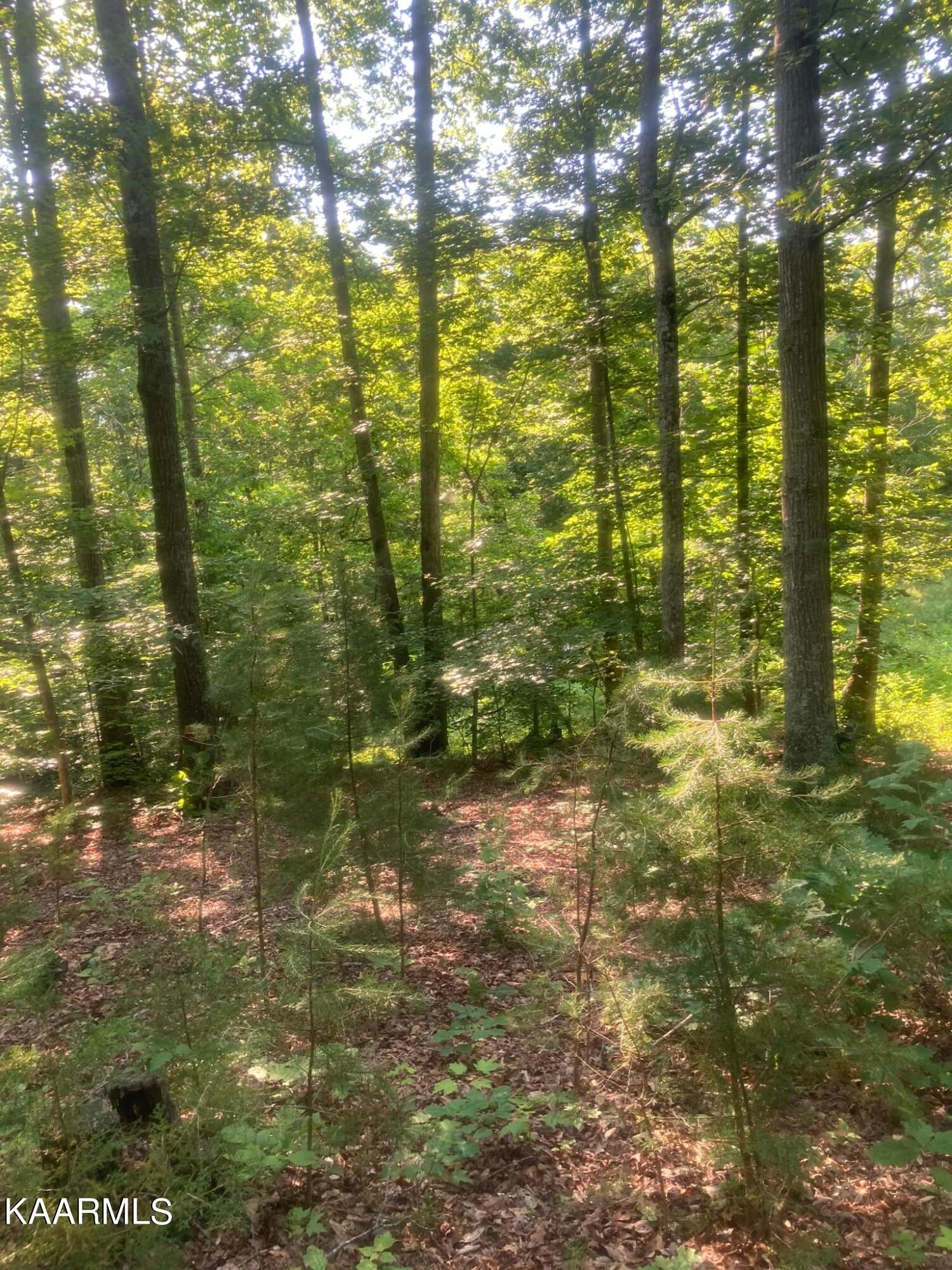 282 Lone Mountain Rd