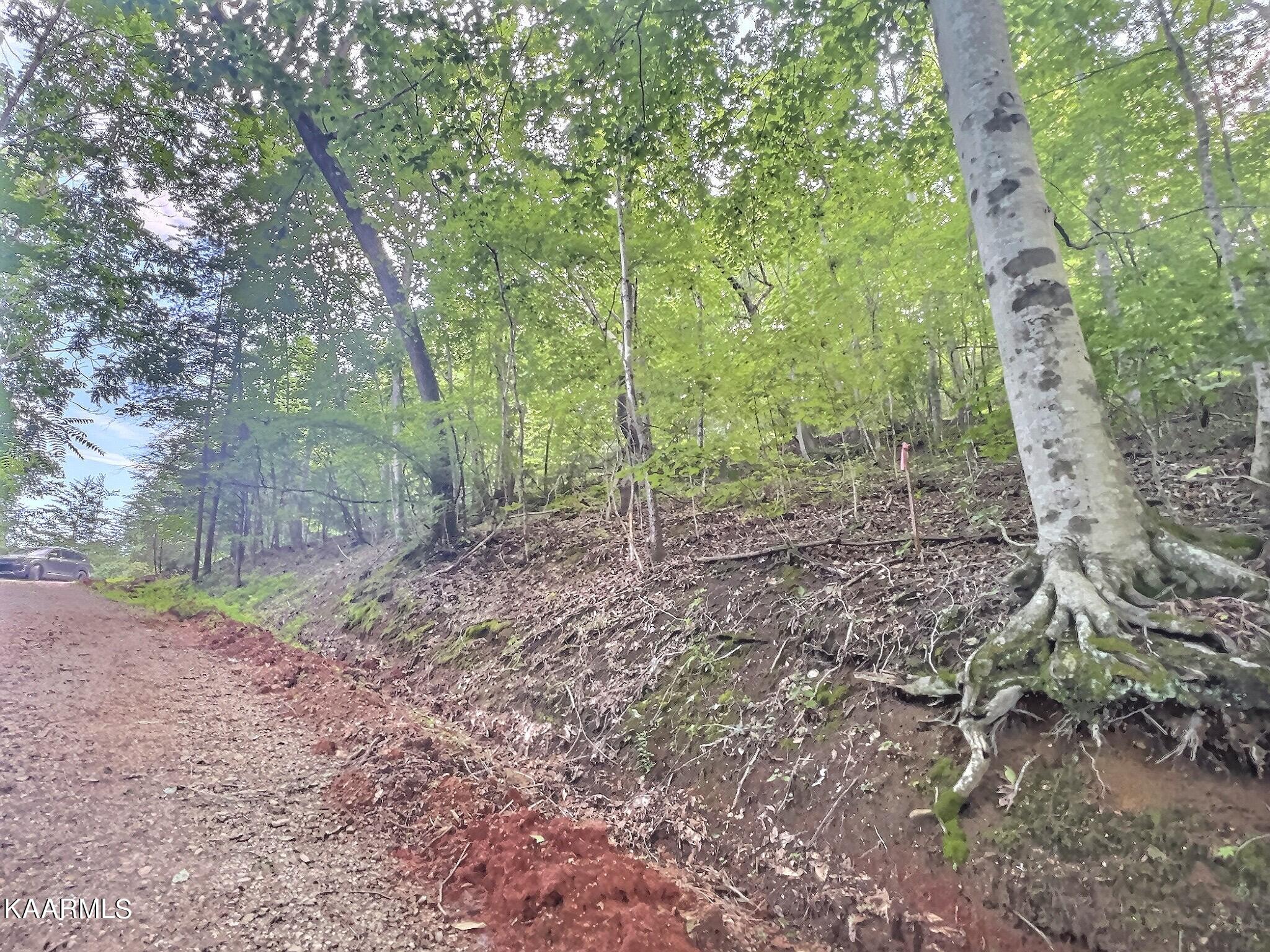 Mariner Point Rd, LaFollette