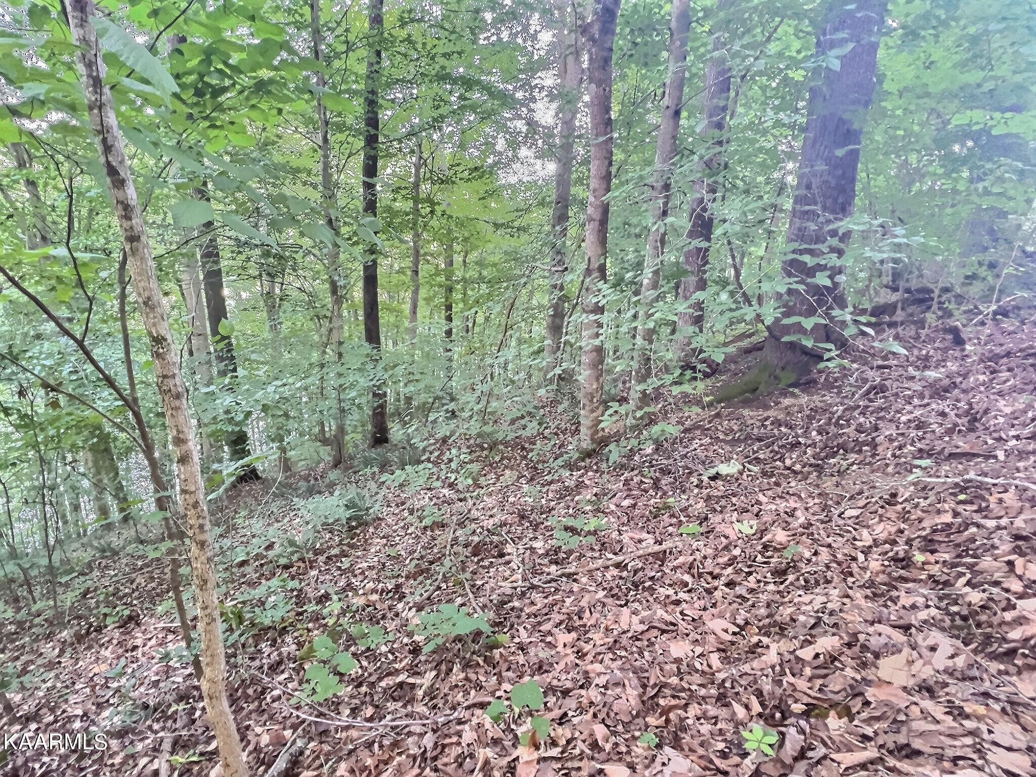 Mariner Point Rd, LaFollette