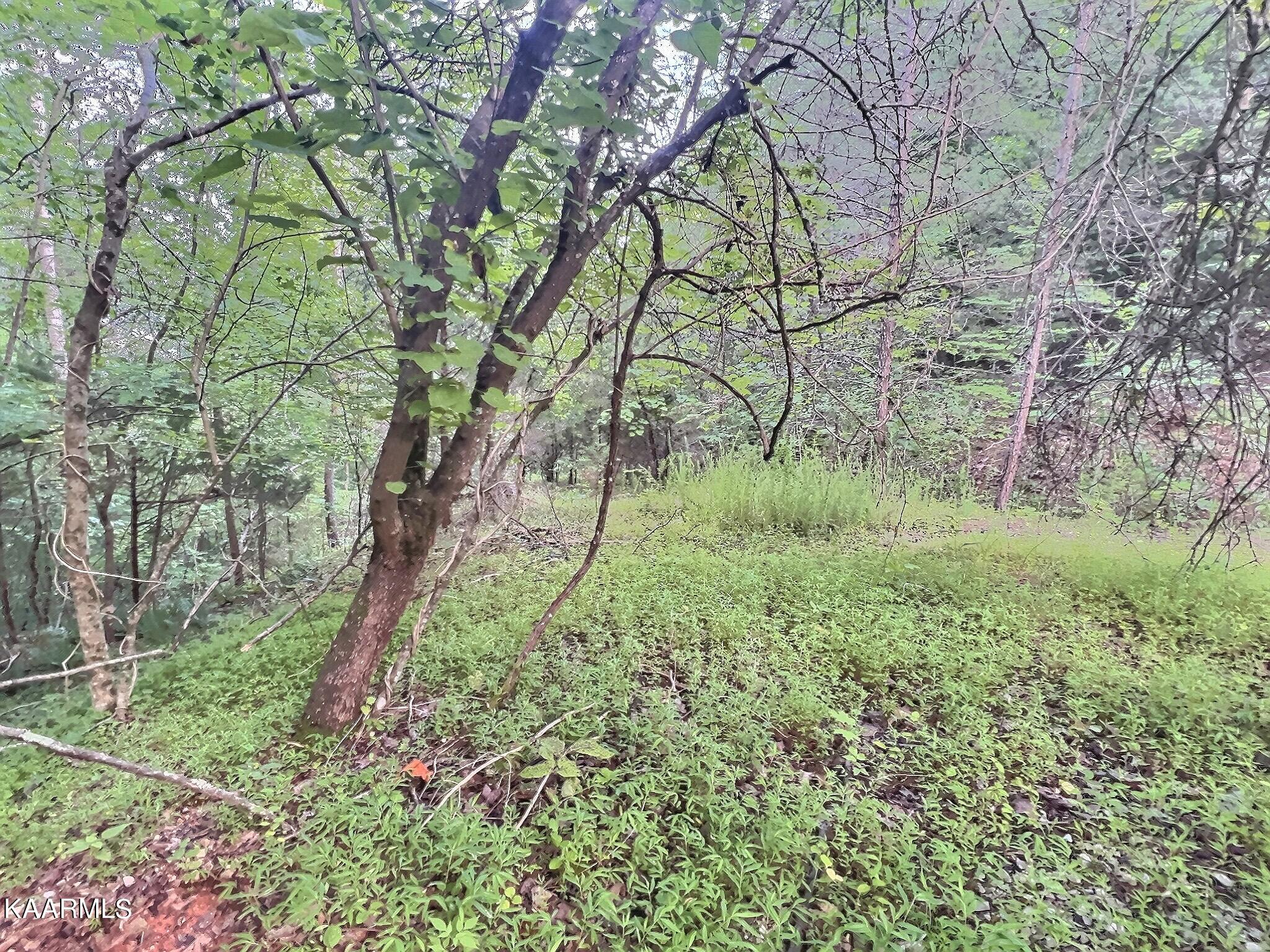 Mariner Point Rd, LaFollette