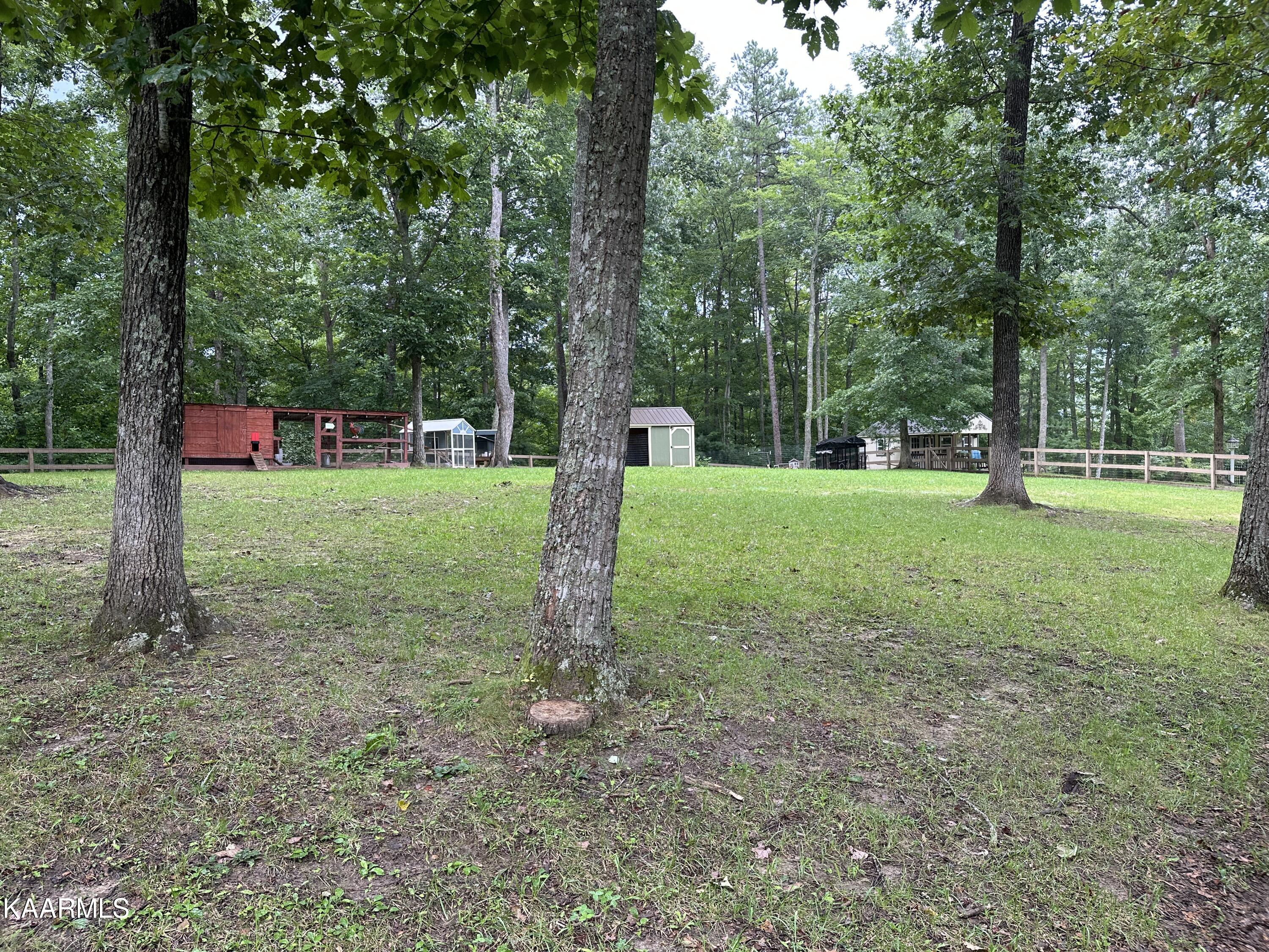 166 Rocky Branch Loop