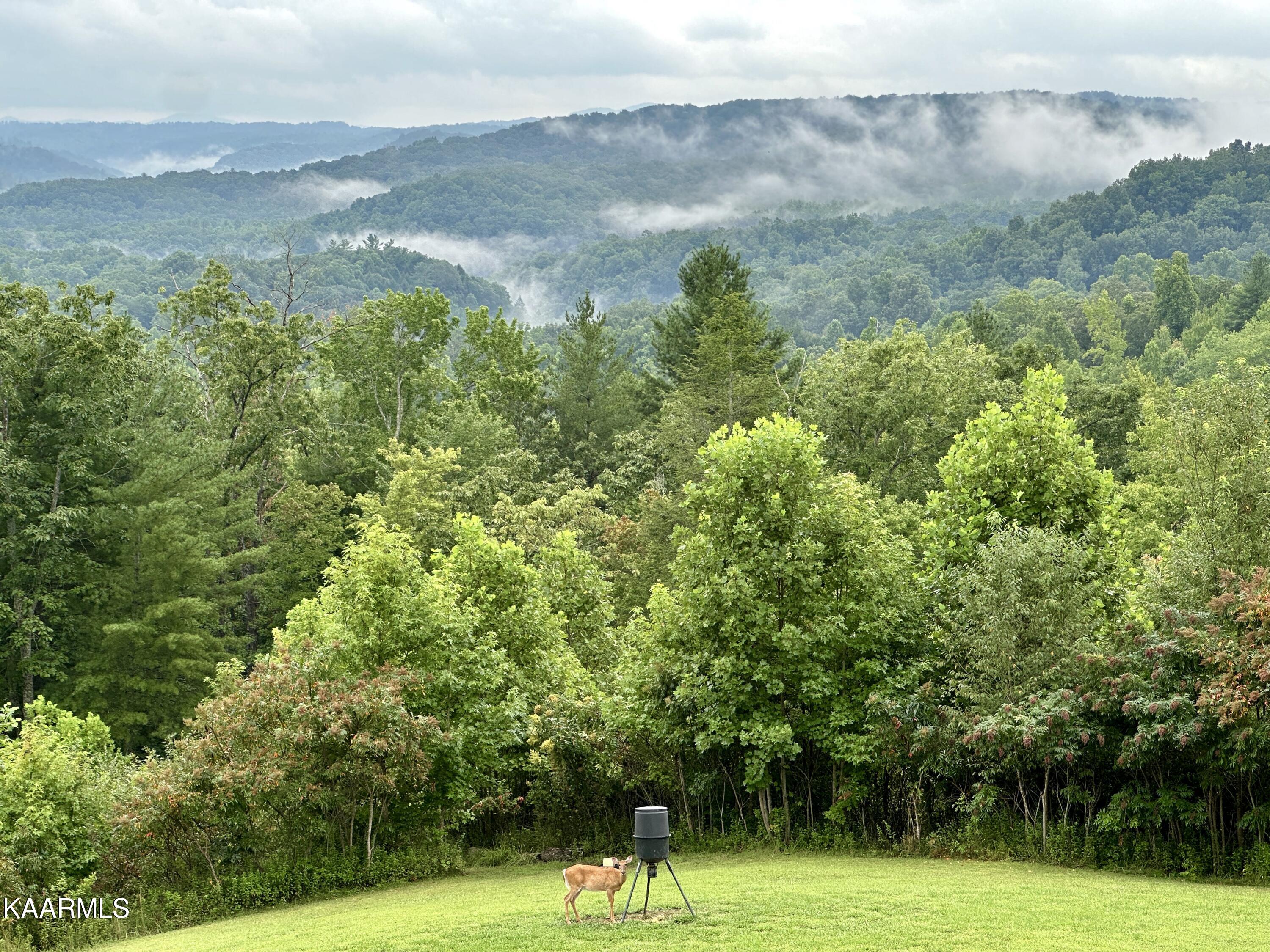 166 Rocky Branch Loop
