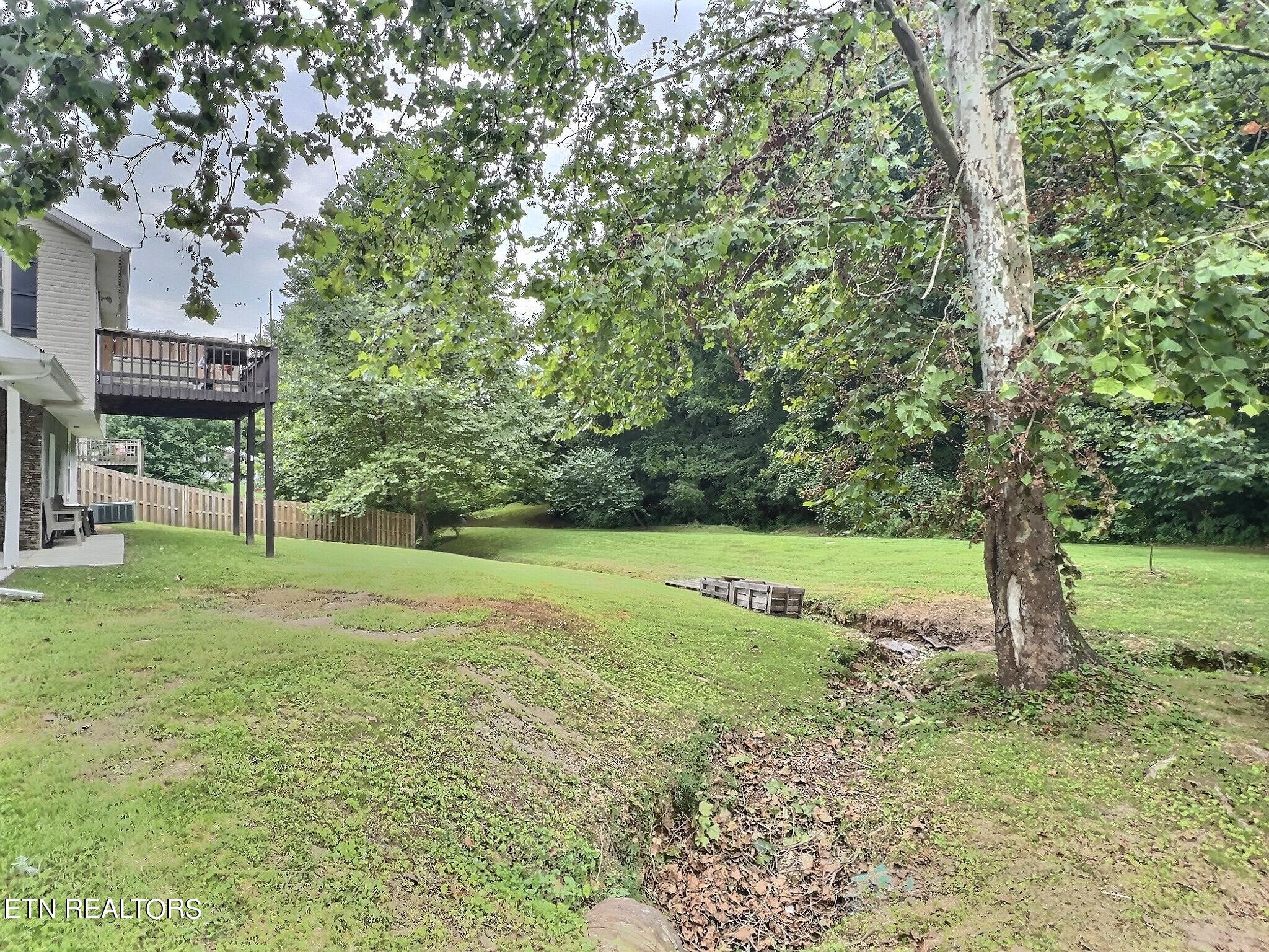 1119 Low Gap Rd, LaFollette