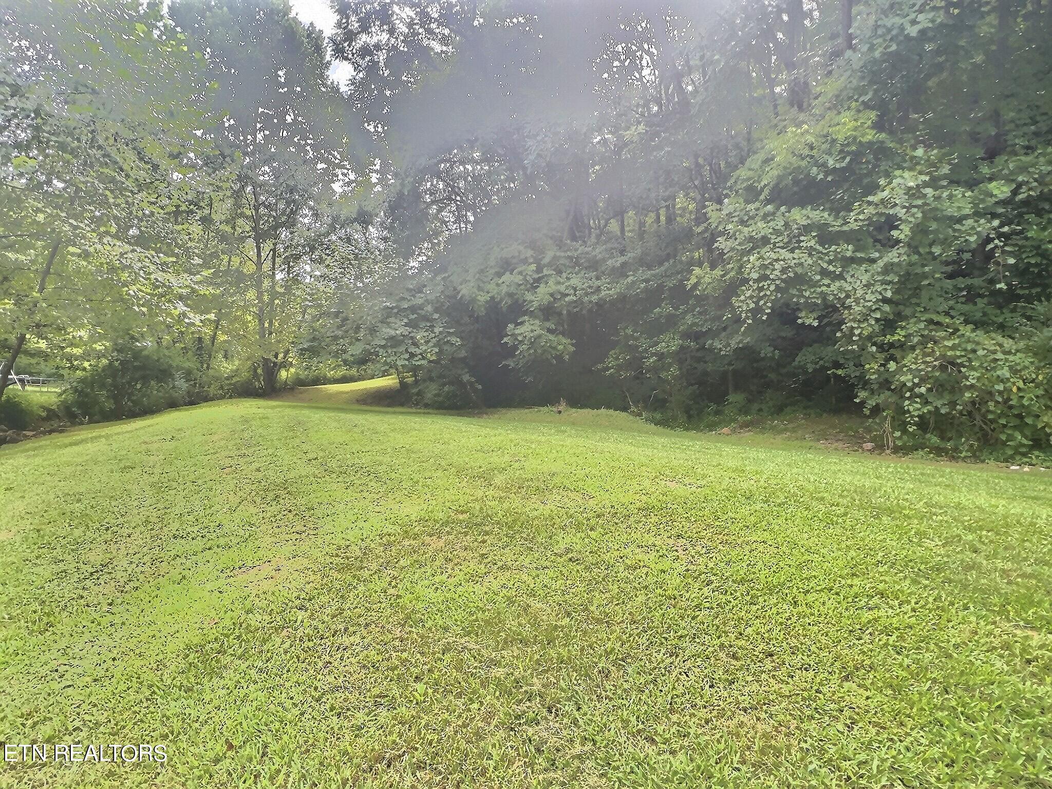 1119 Low Gap Rd, LaFollette