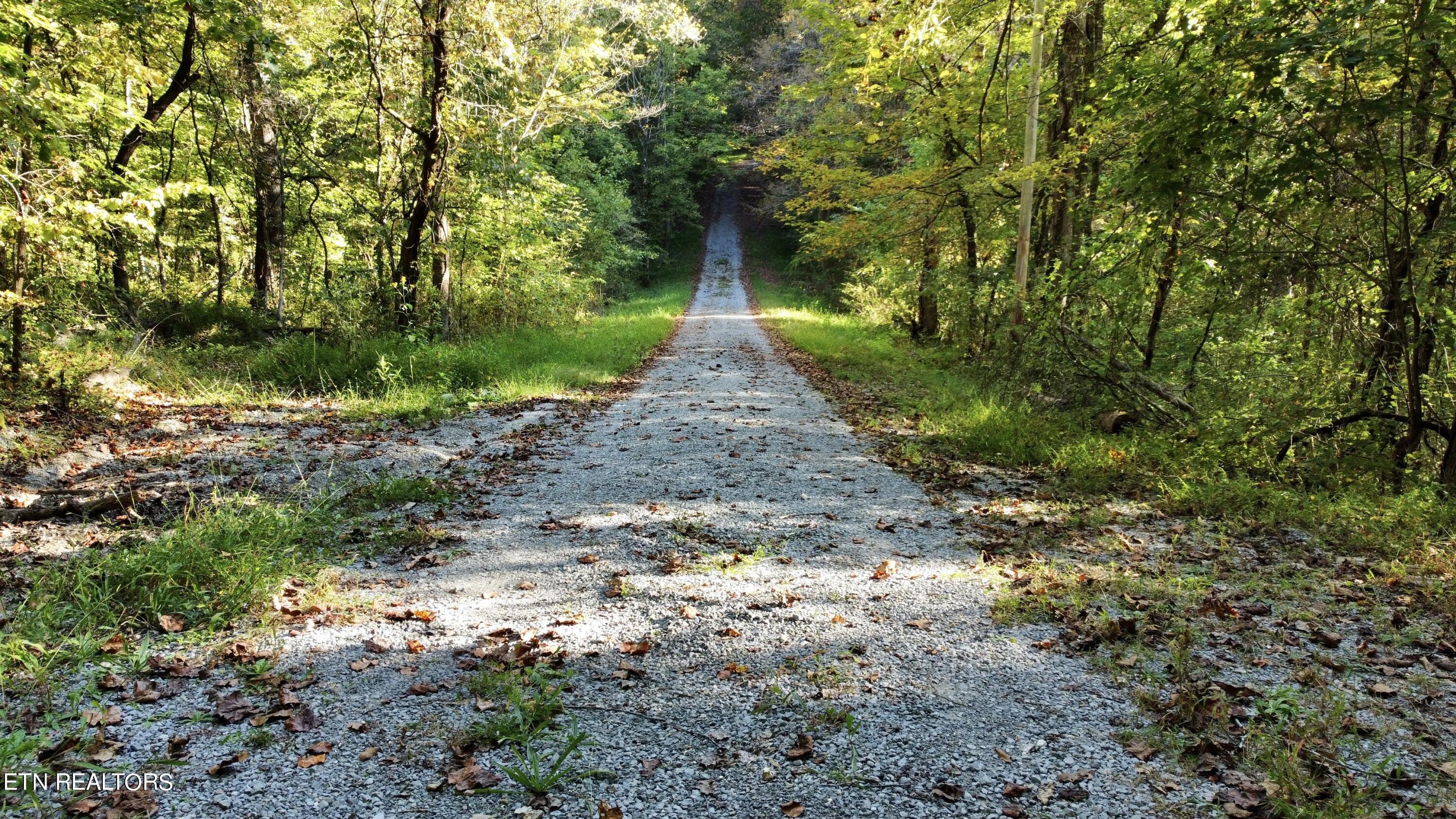 161 Oak Run Lane, LaFollette