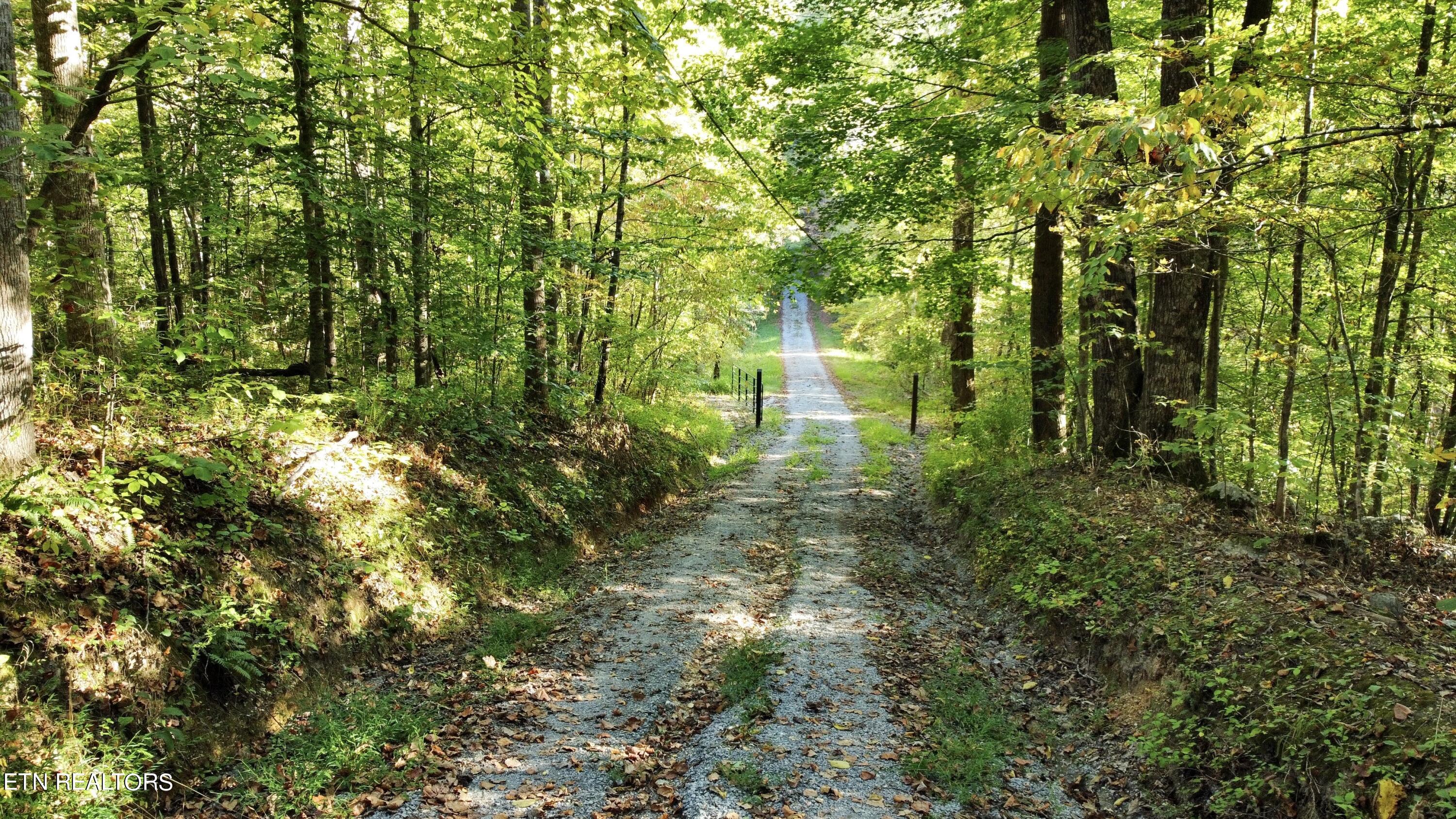 161 Oak Run Lane, LaFollette