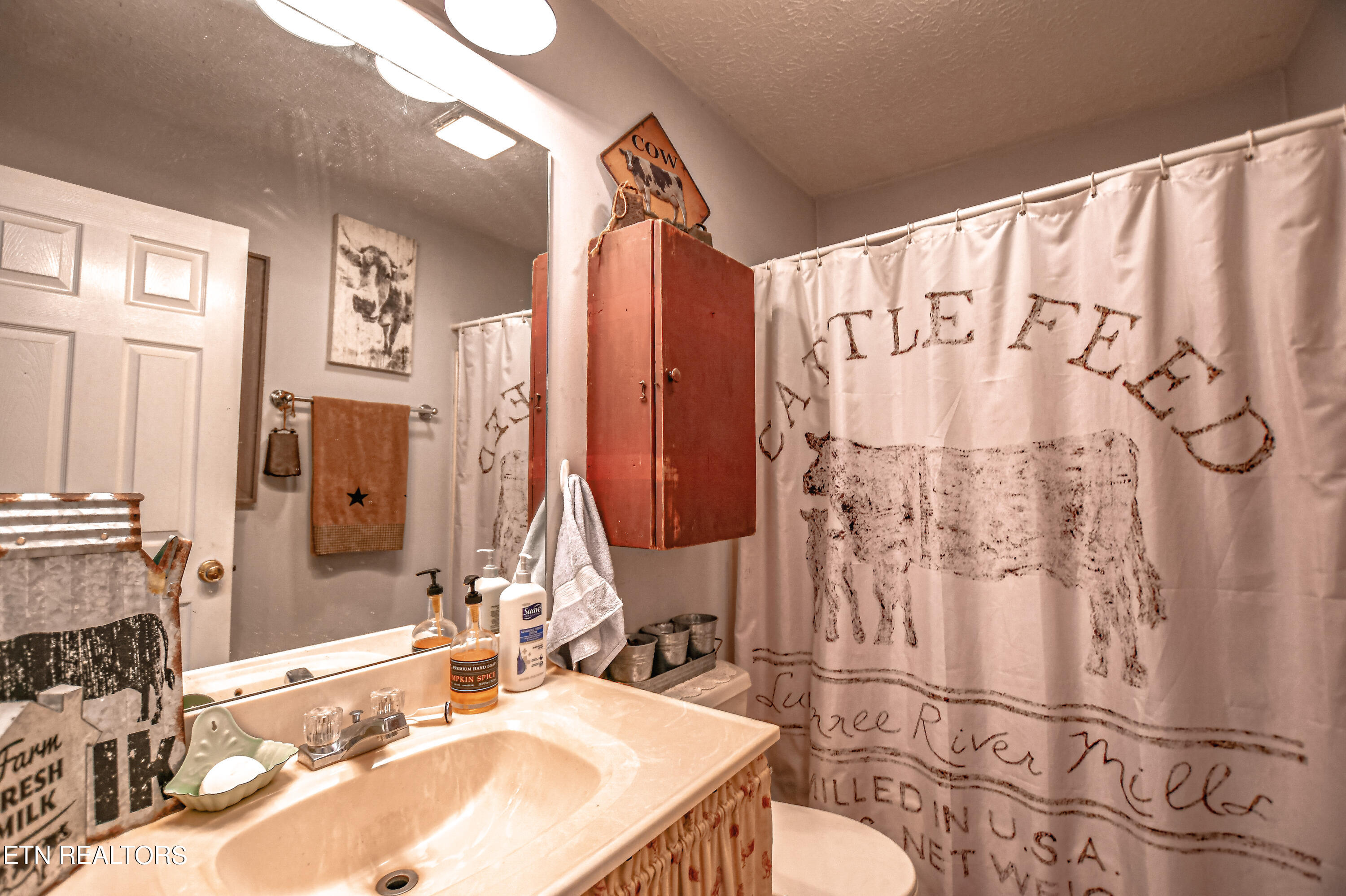 706 Bankston Lane, LaFollette