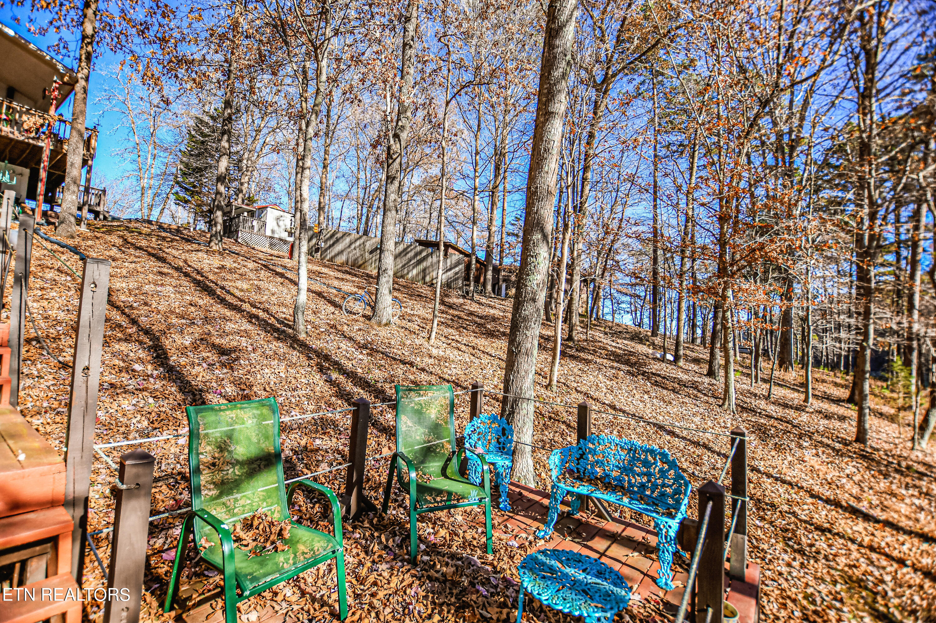 706 Bankston Lane, LaFollette