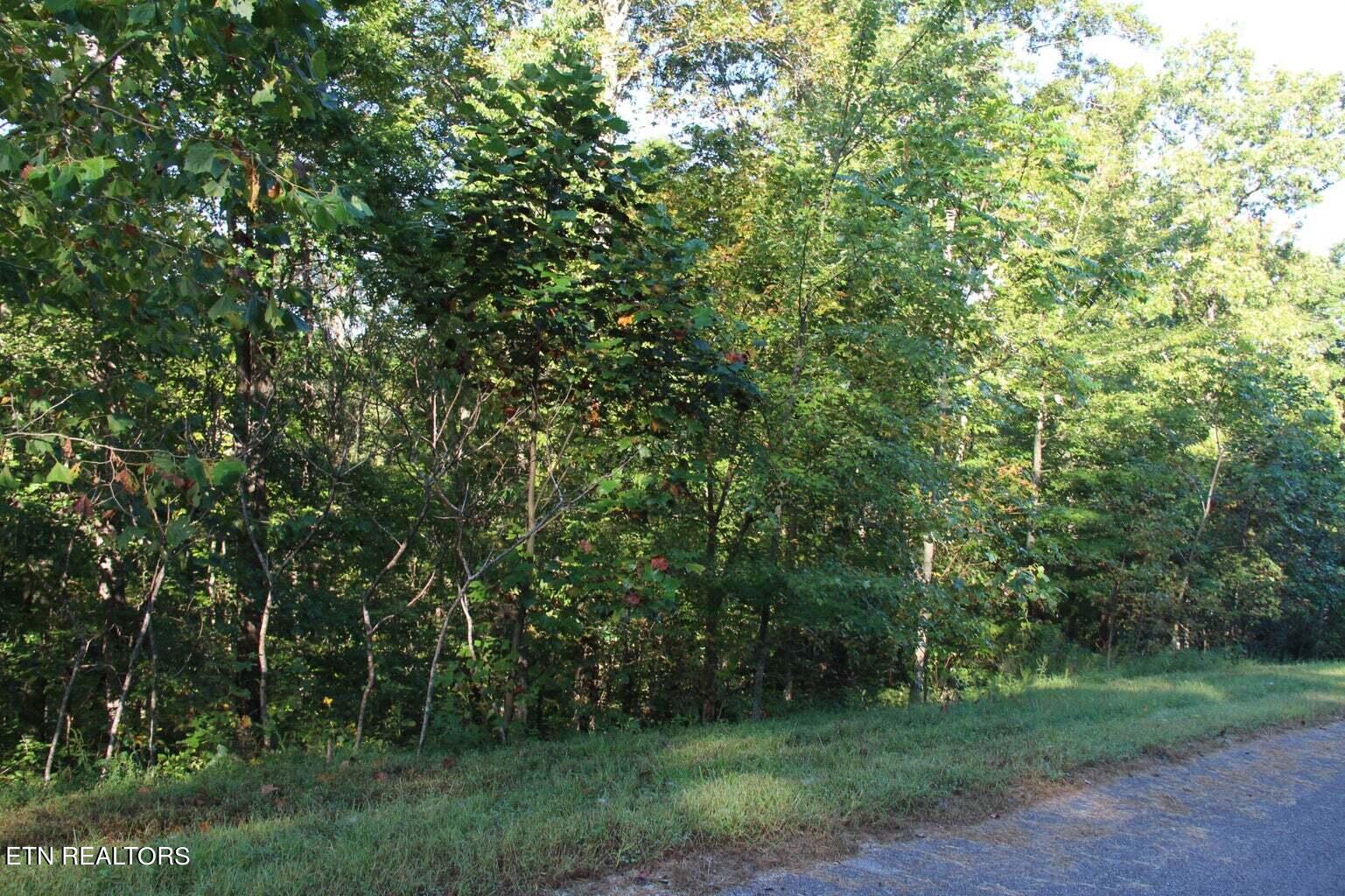 Lot 125 Old Hearth, LaFollette