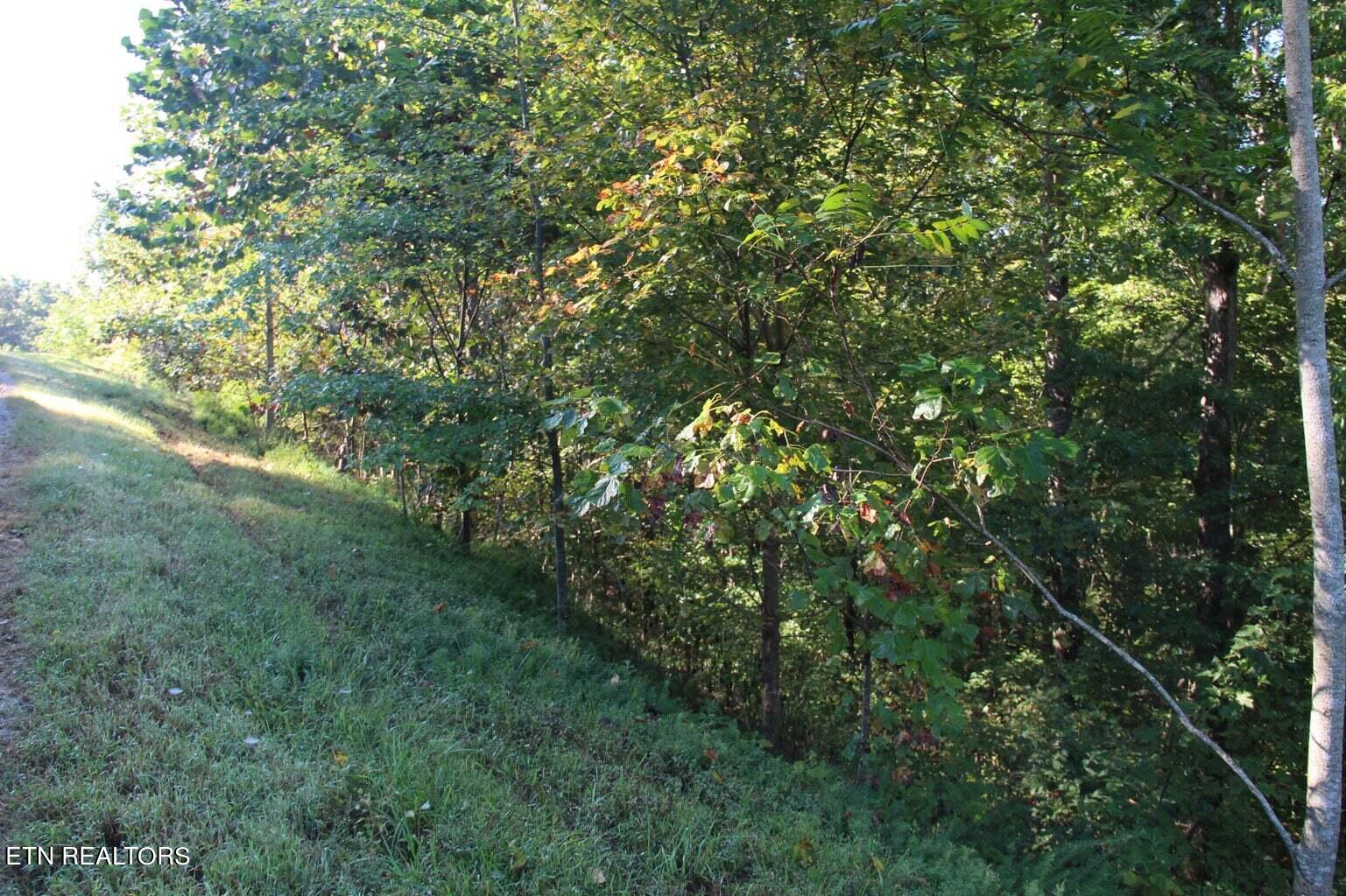 Lot 125 Old Hearth, LaFollette