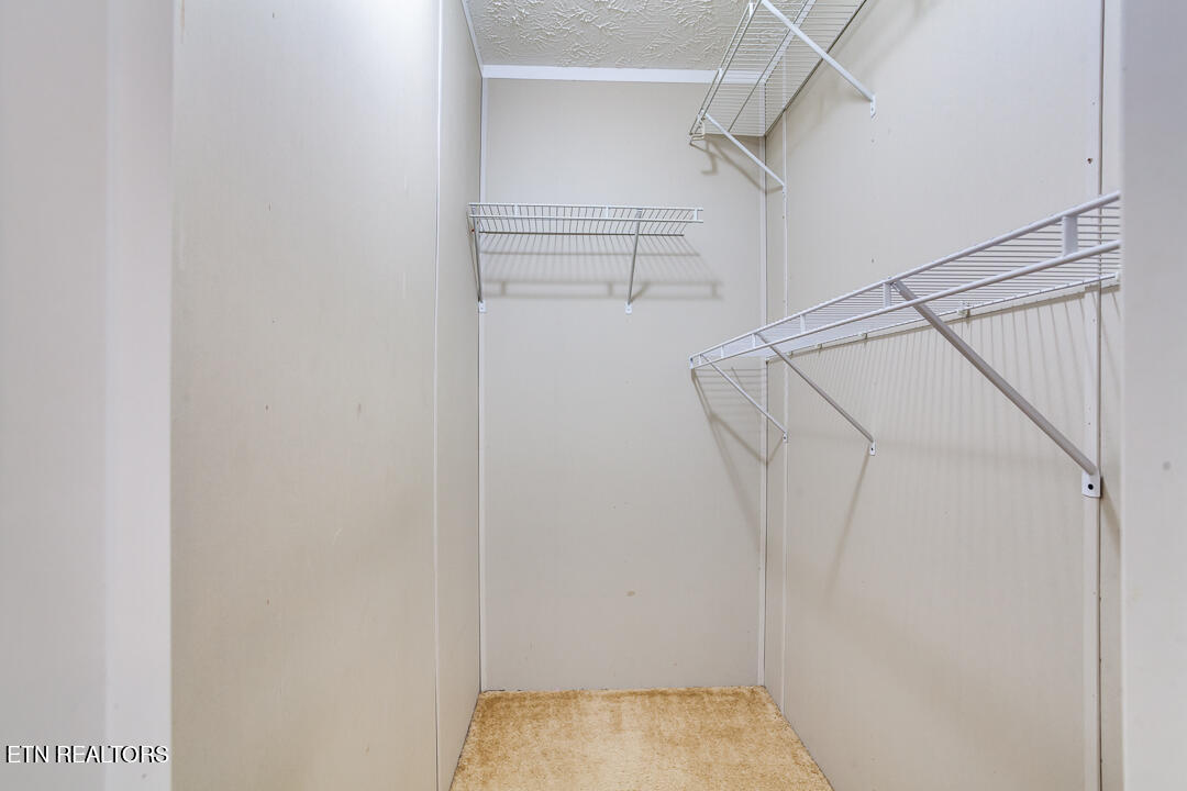 241 Fountain Lane, LaFollette