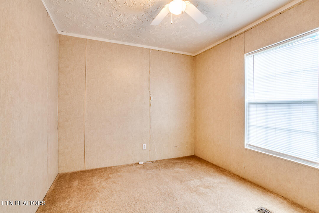 241 Fountain Lane, LaFollette