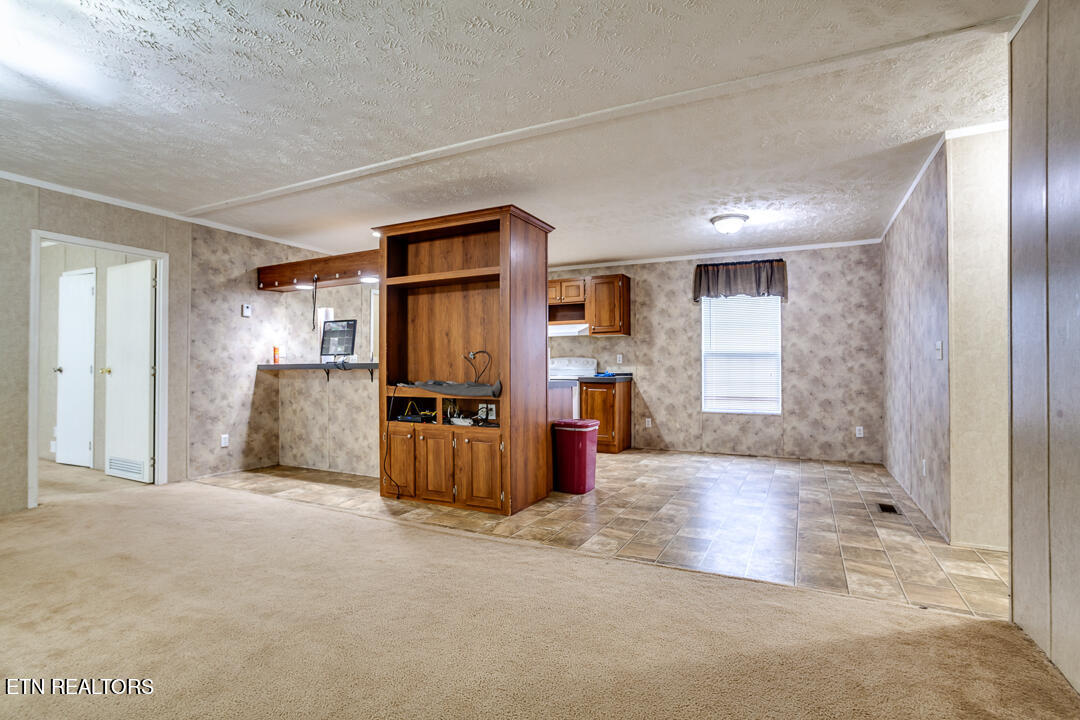 241 Fountain Lane, LaFollette