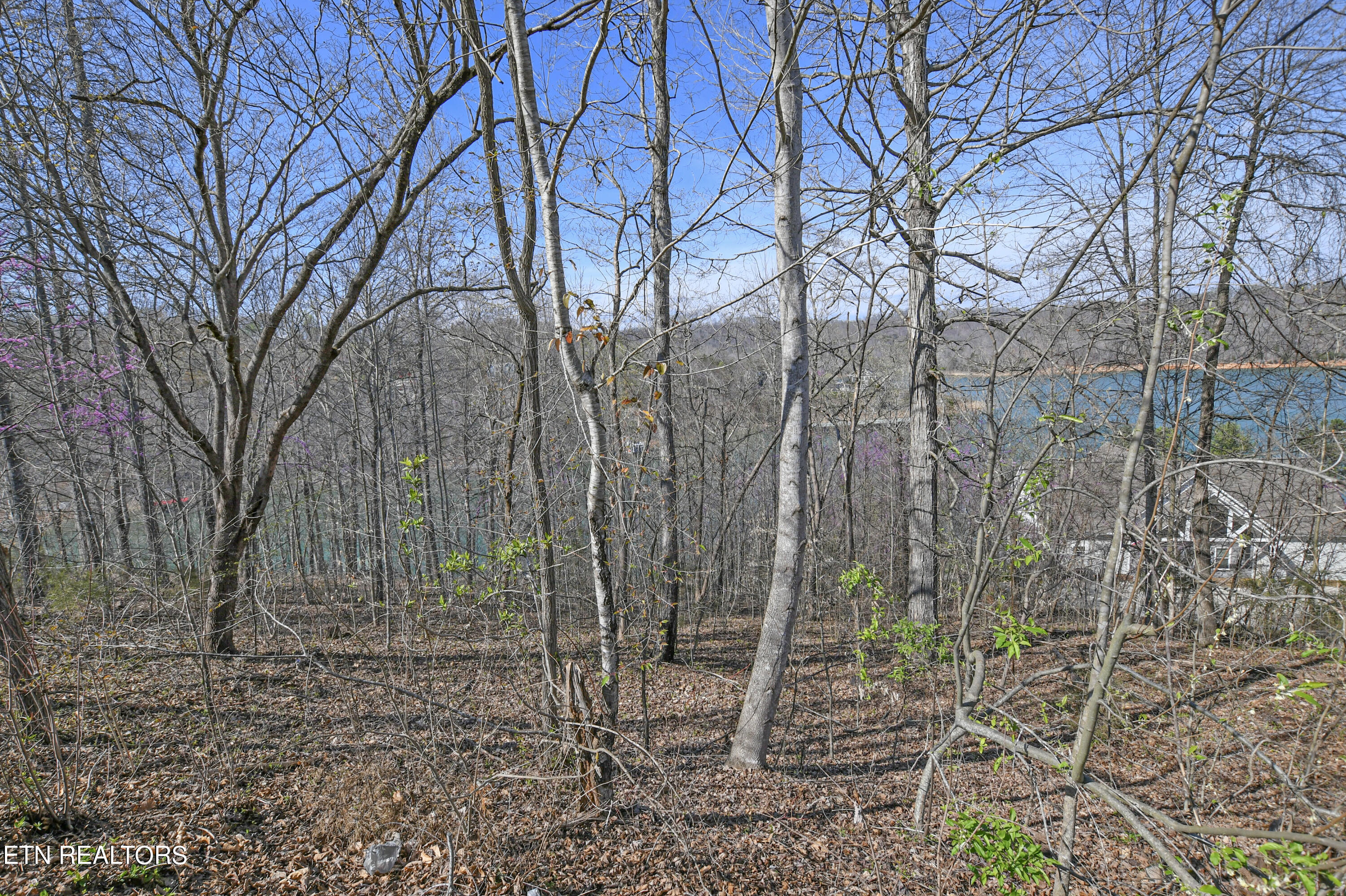 Lot 31 Norris Crest Drive, LaFollette