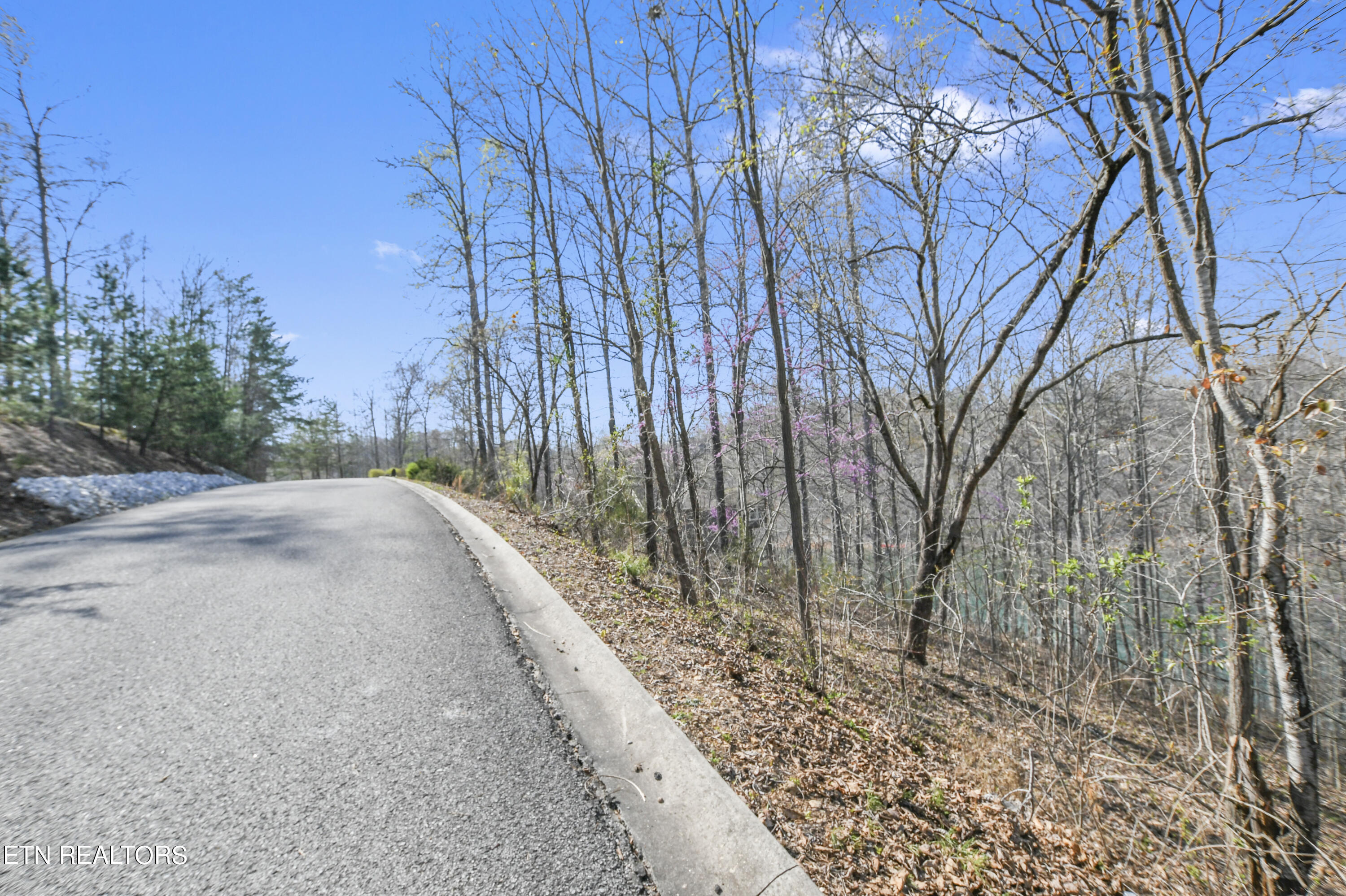 Lot 31 Norris Crest Drive, LaFollette