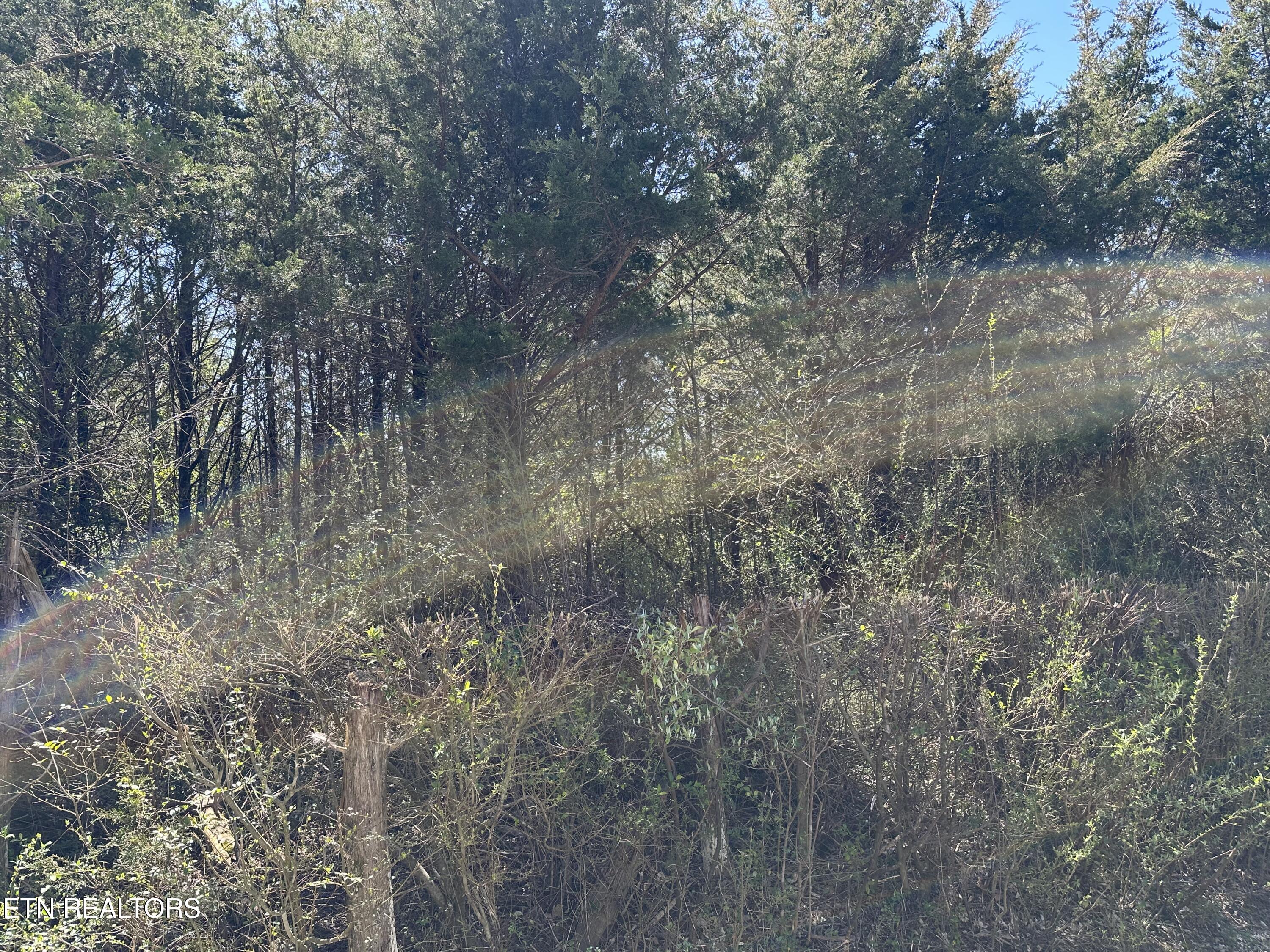 Minton Rd, LaFollette