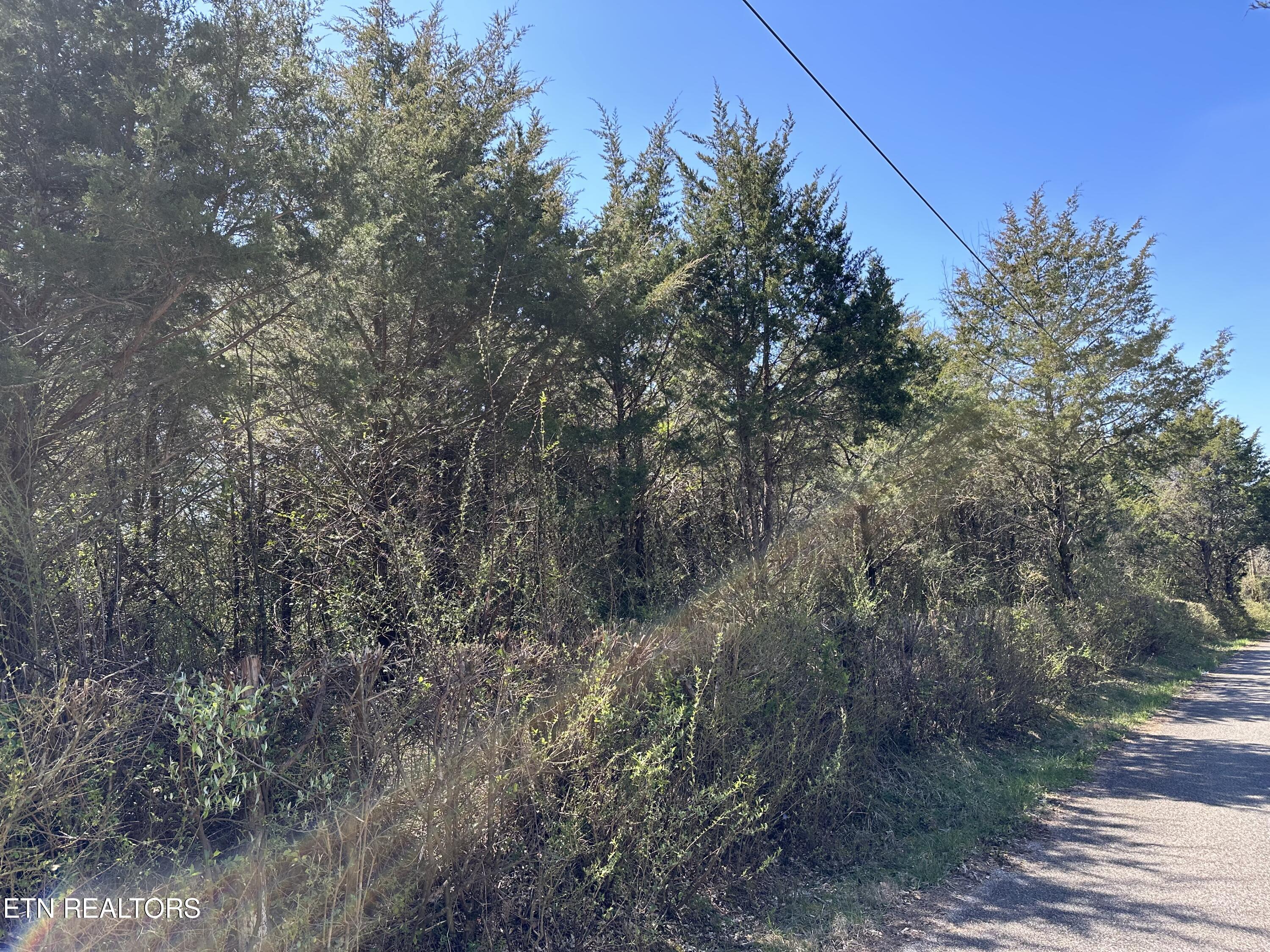 Minton Rd, LaFollette