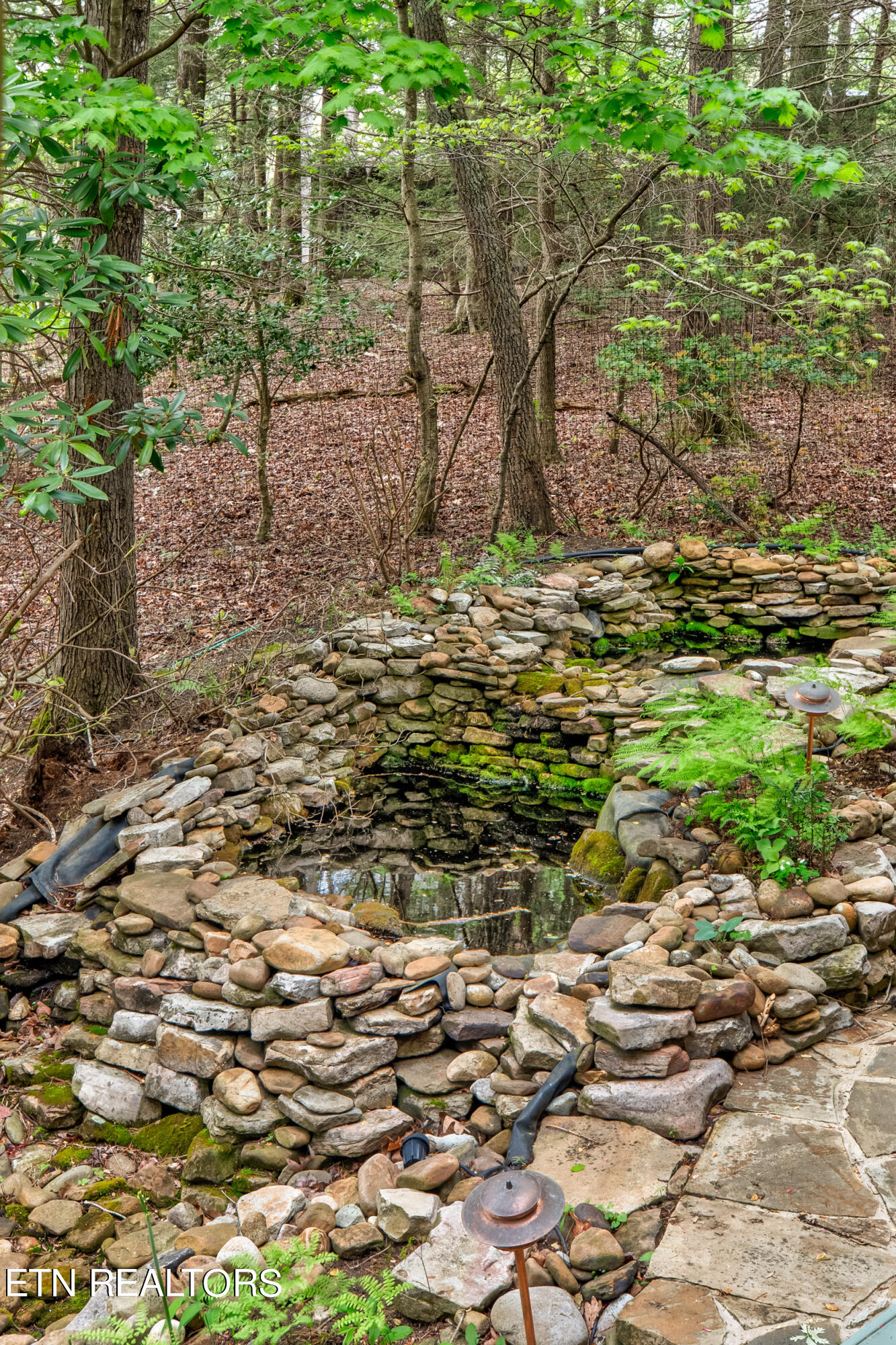 165 Hemlock Bluff Lane