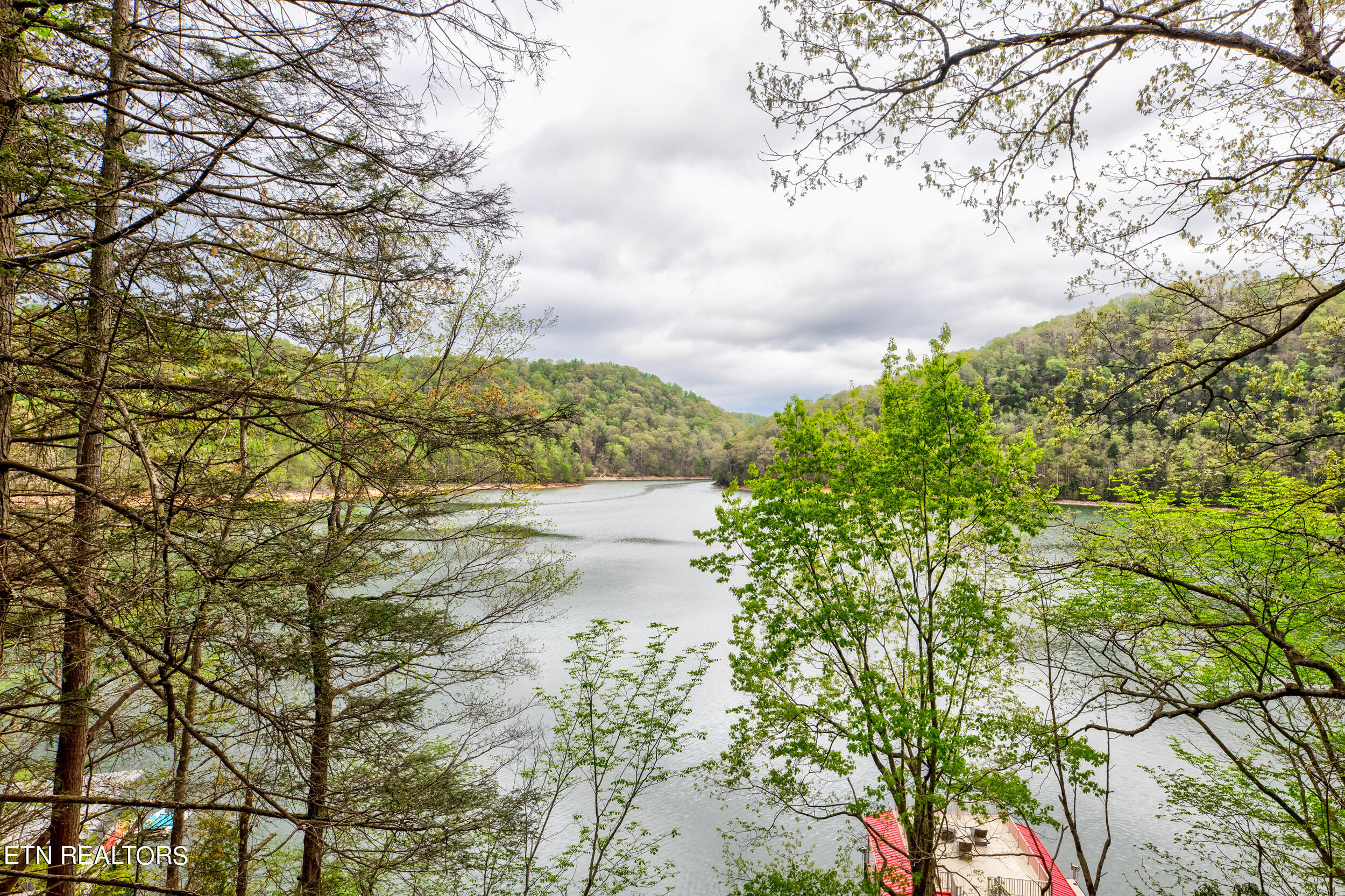 165 Hemlock Bluff Lane