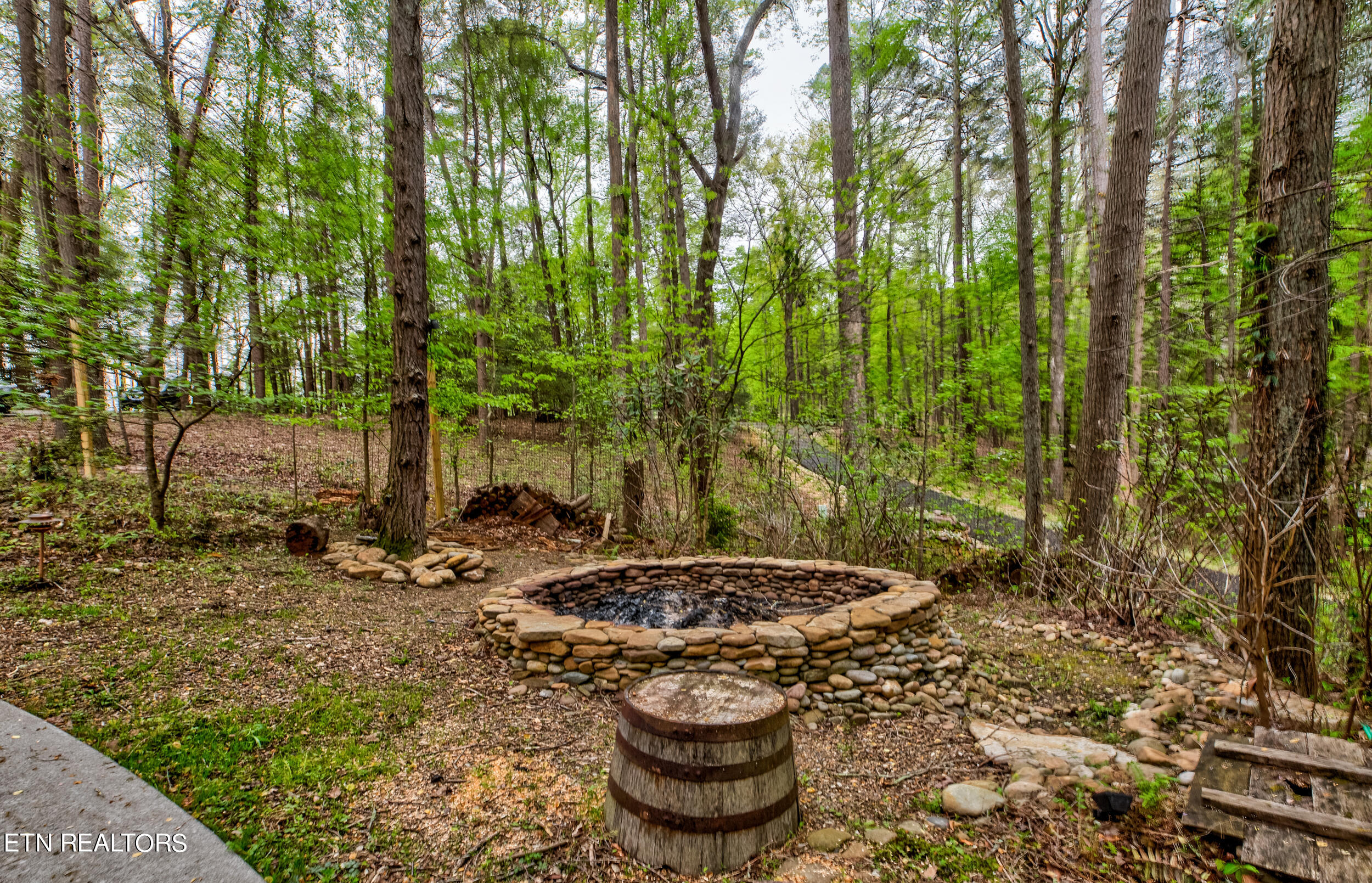 165 Hemlock Bluff Lane