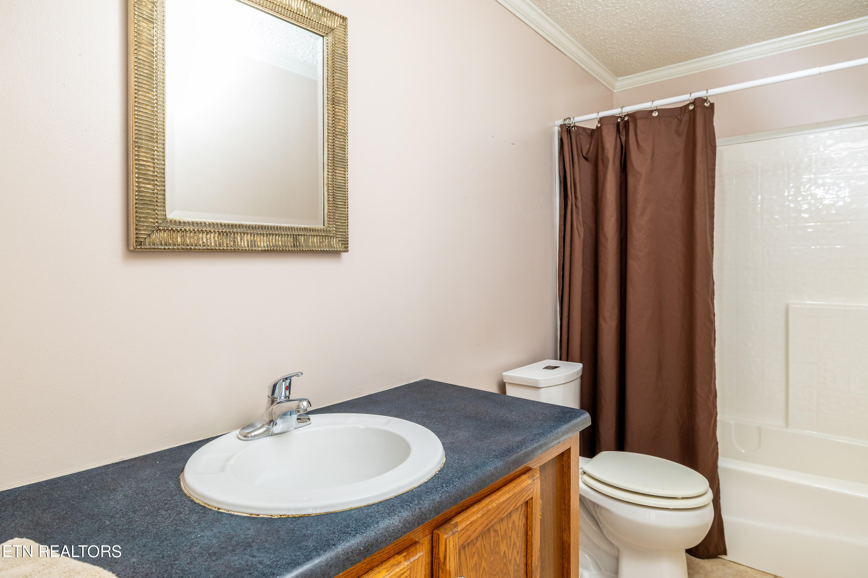 205 Fawn Trail Drive