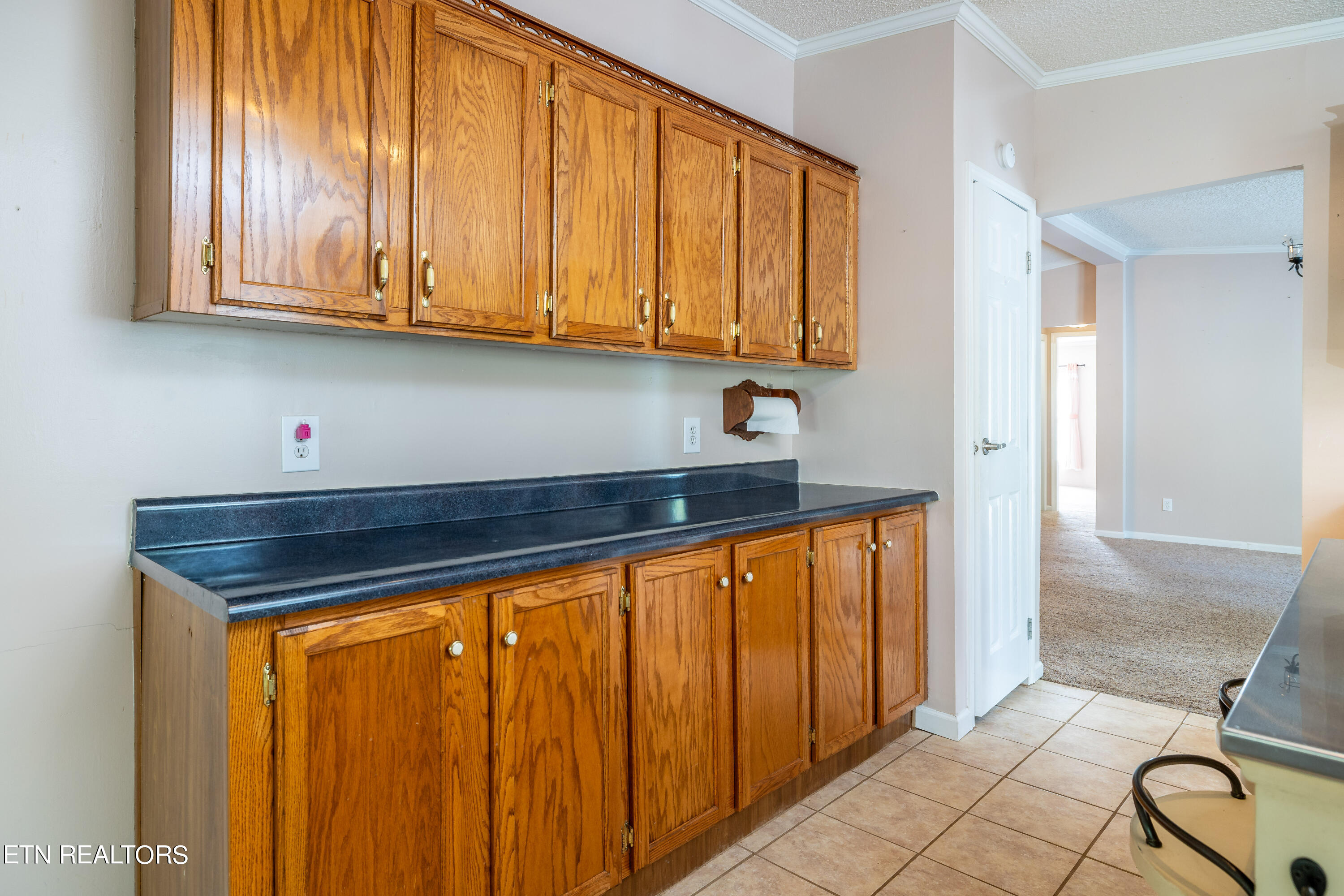 205 Fawn Trail Drive