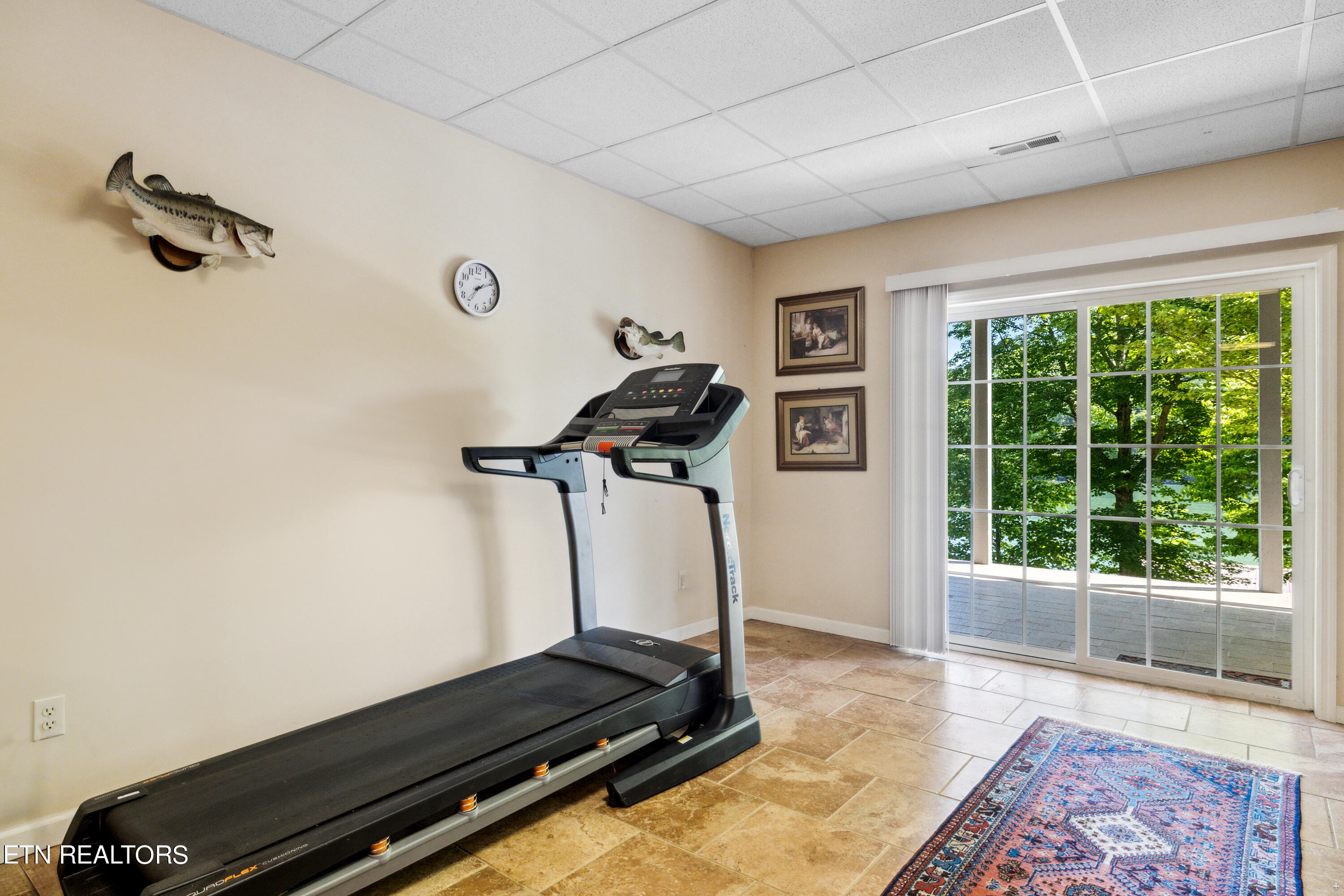 573 E Norris Point Rd, LaFollette