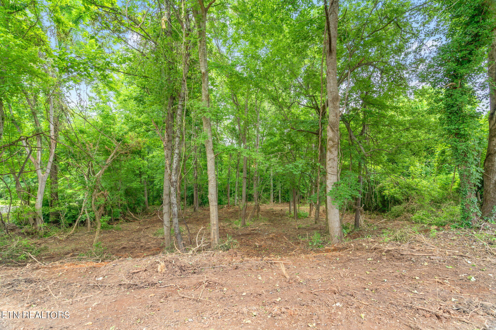 Lot # 0051 Orchard Knob Rd