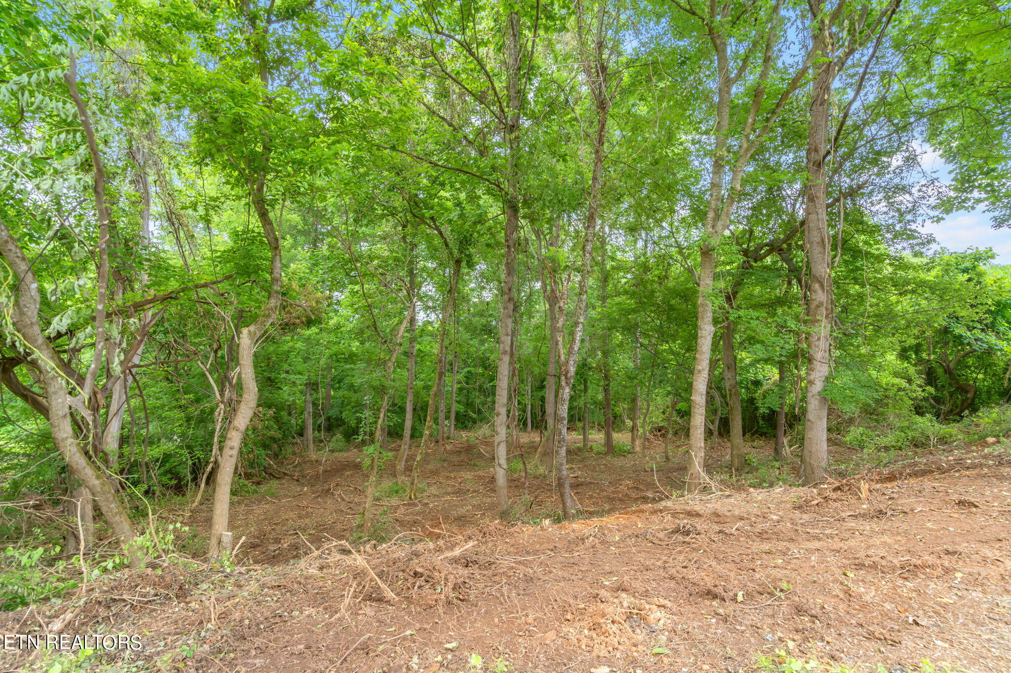 Lot # 0051 Orchard Knob Rd