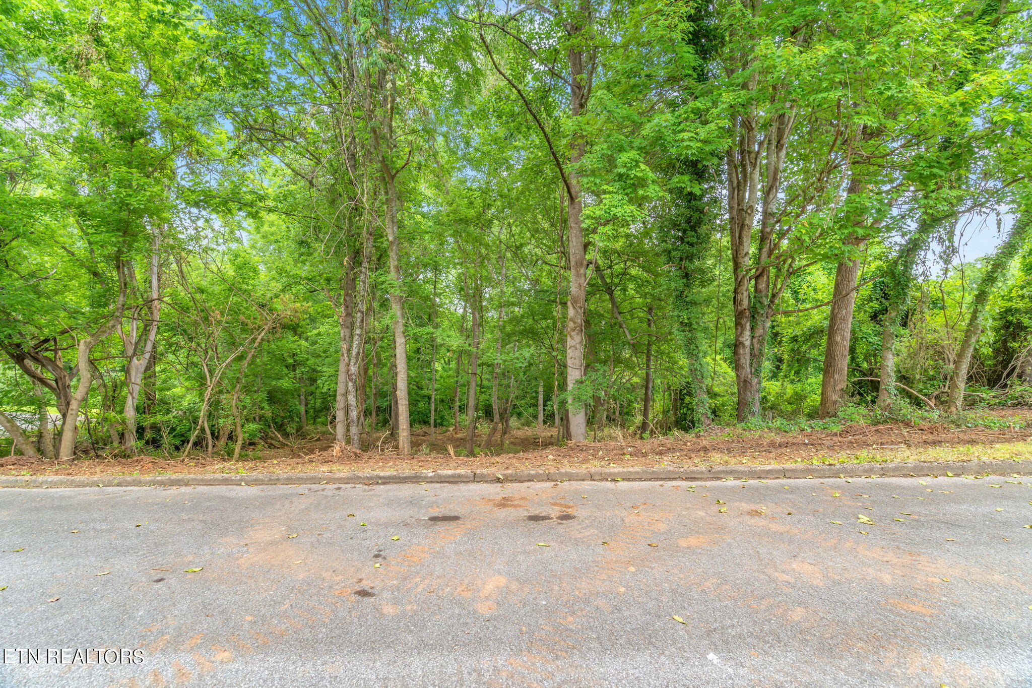 Lot # 0051 Orchard Knob Rd