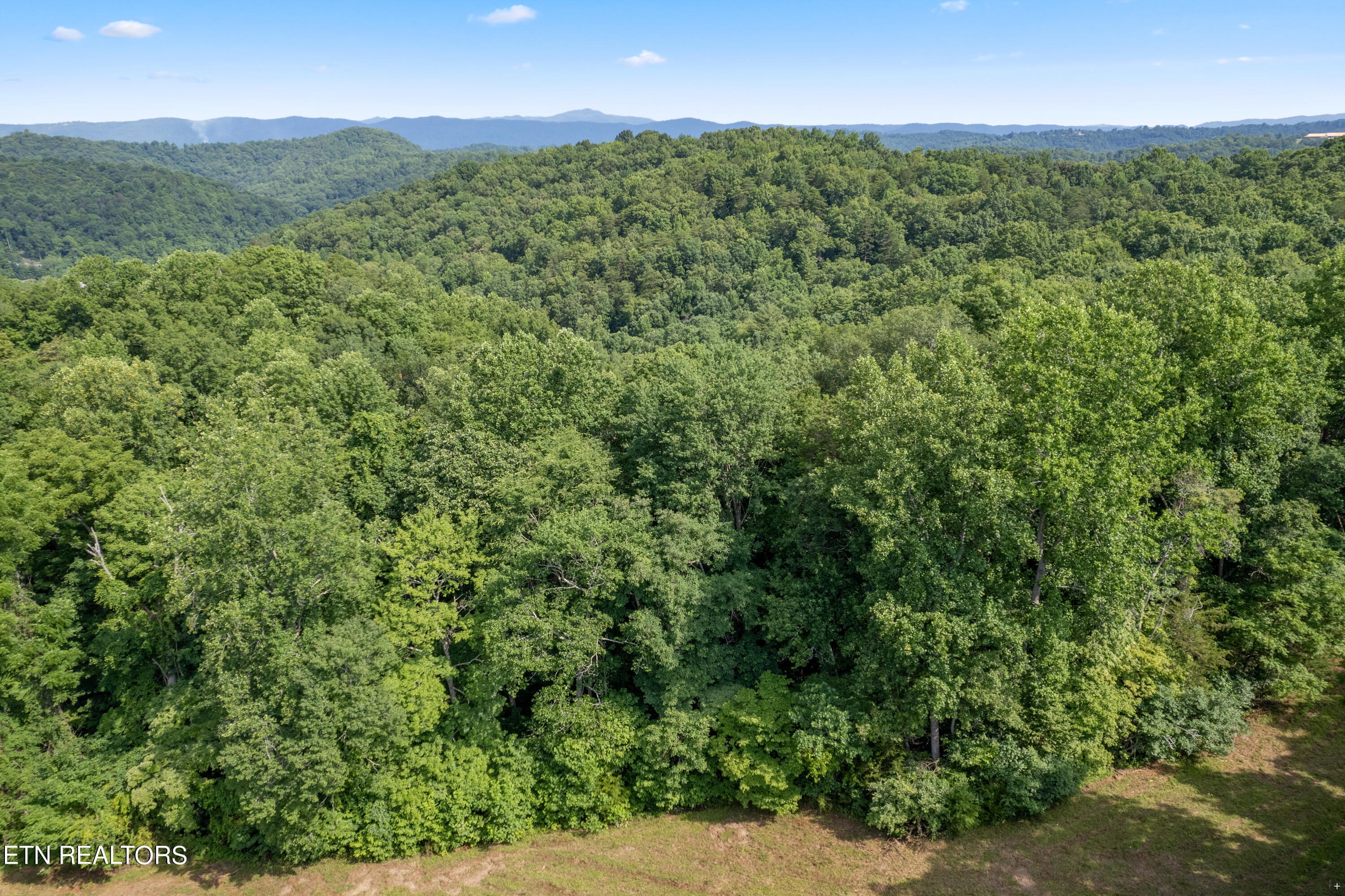 0 Chestnut Stump Rd, LaFollette