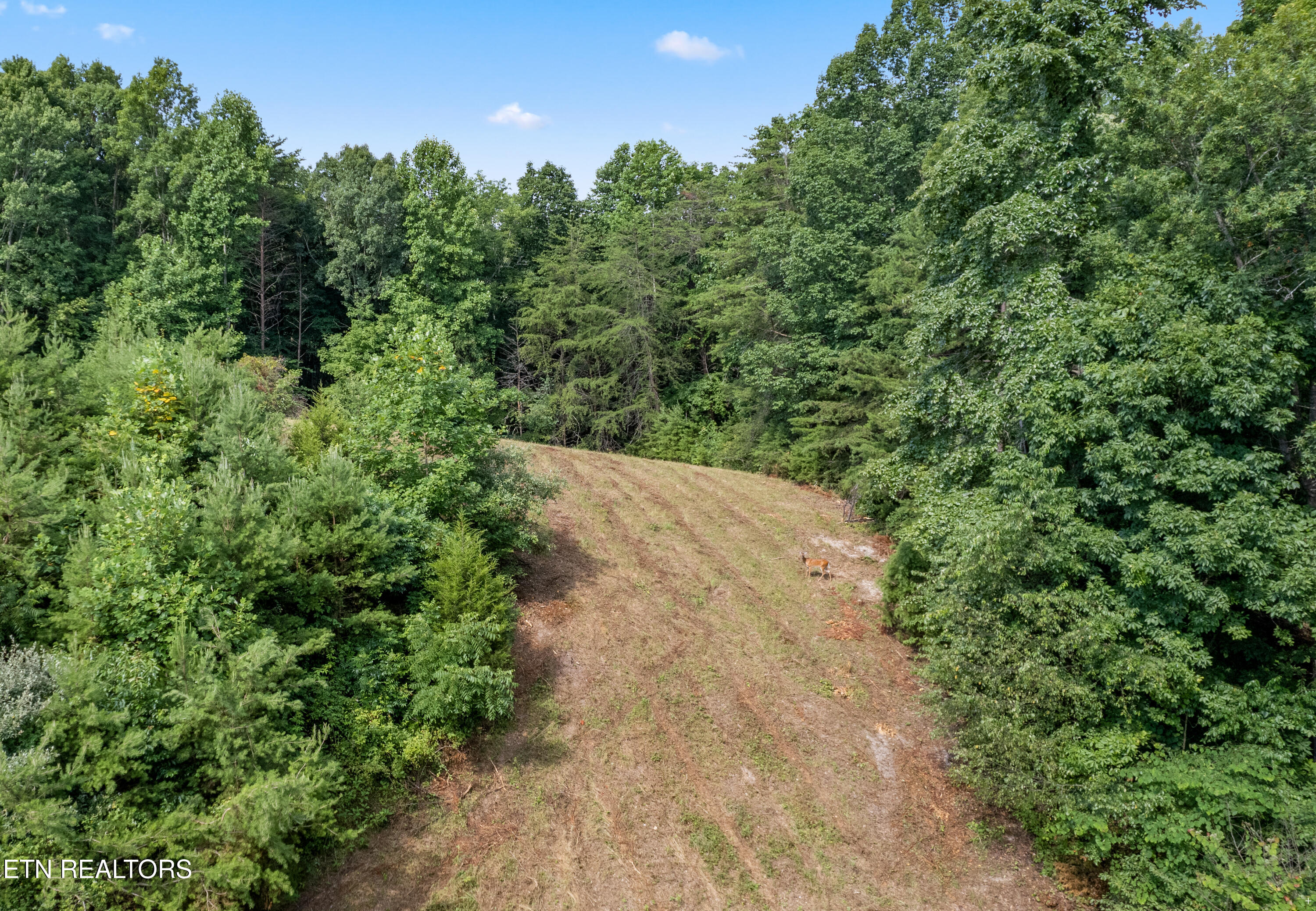 0 Chestnut Stump Rd, LaFollette