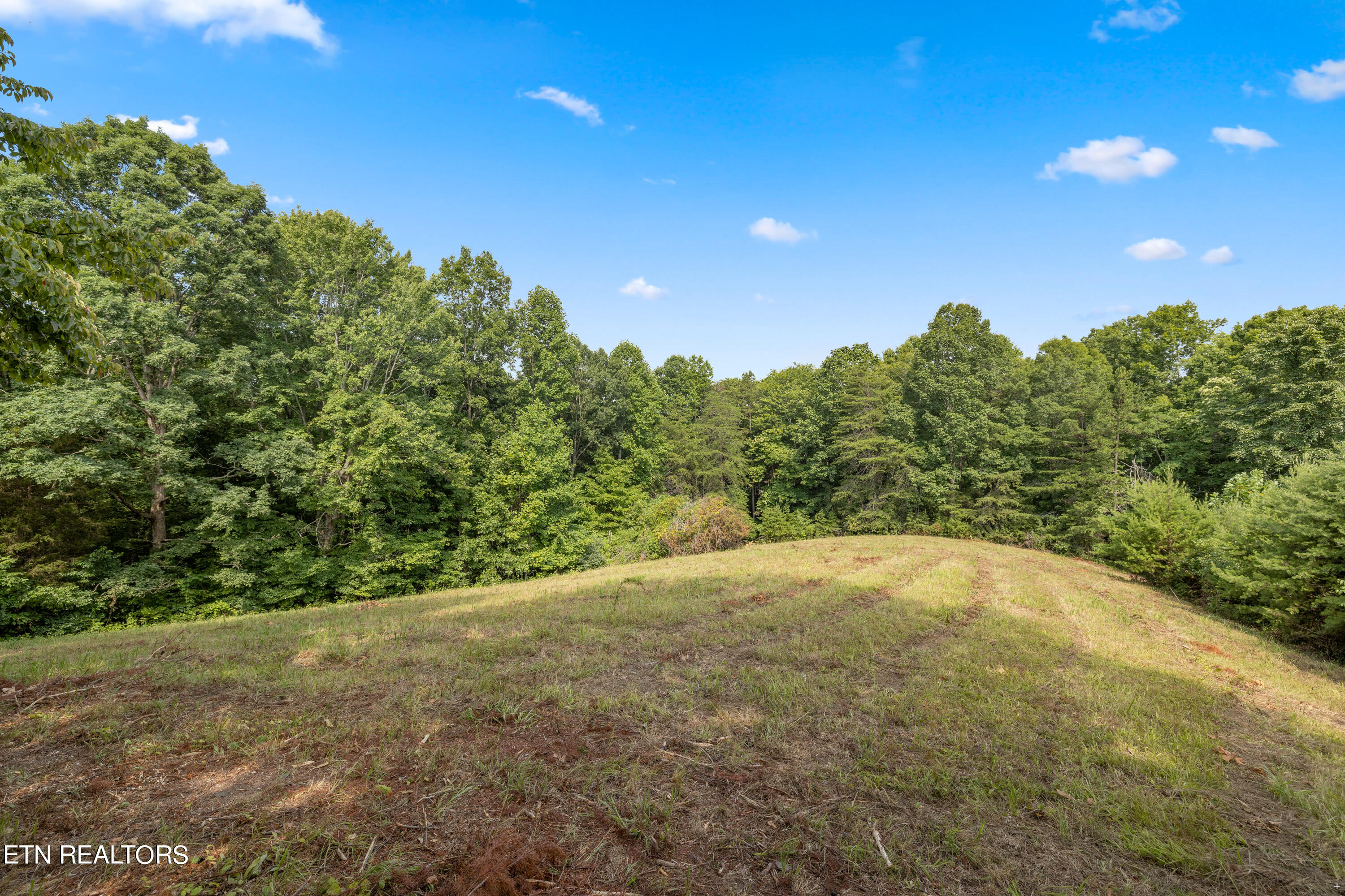 0 Chestnut Stump Rd, LaFollette