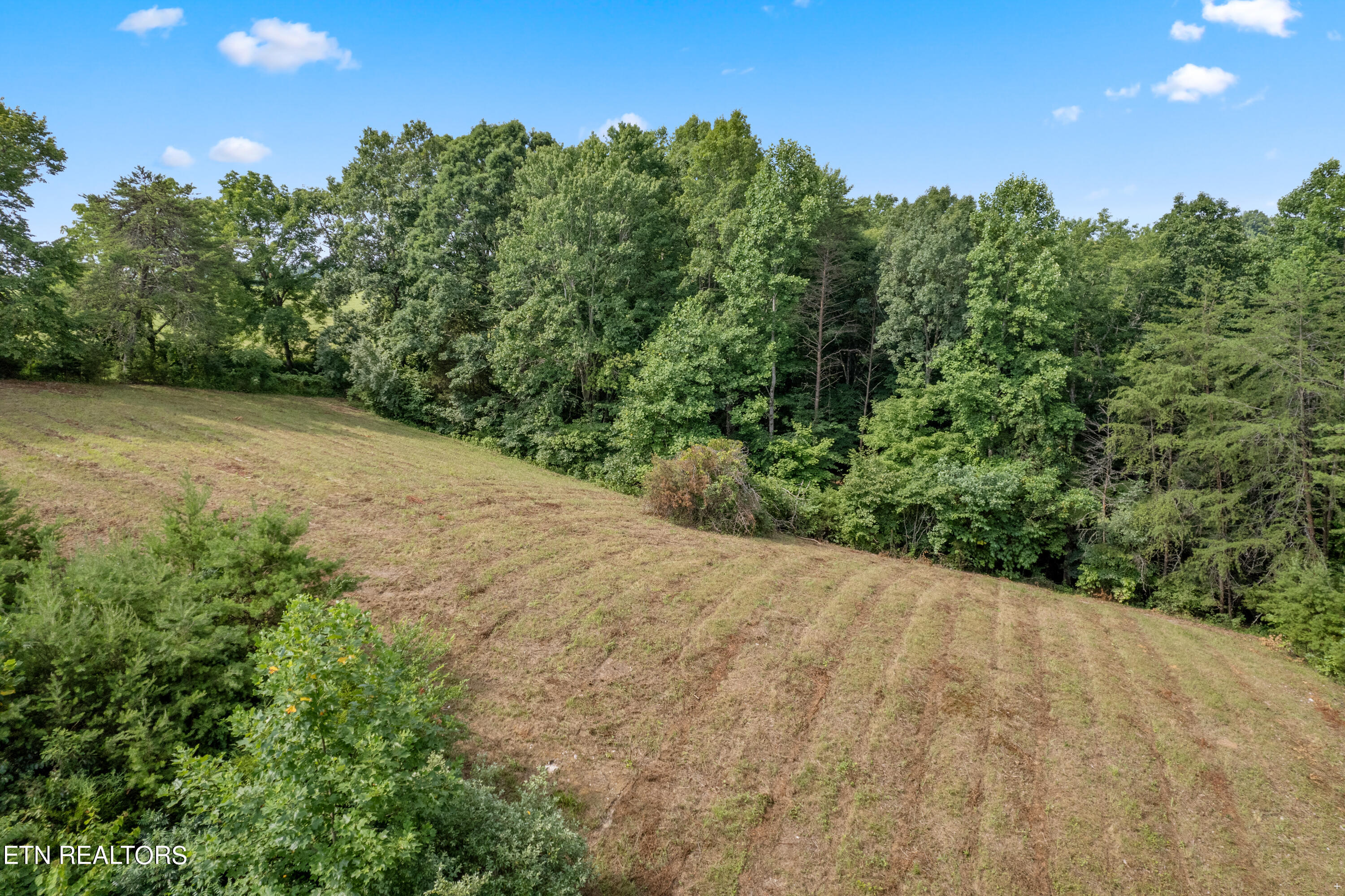 0 Chestnut Stump Rd, LaFollette