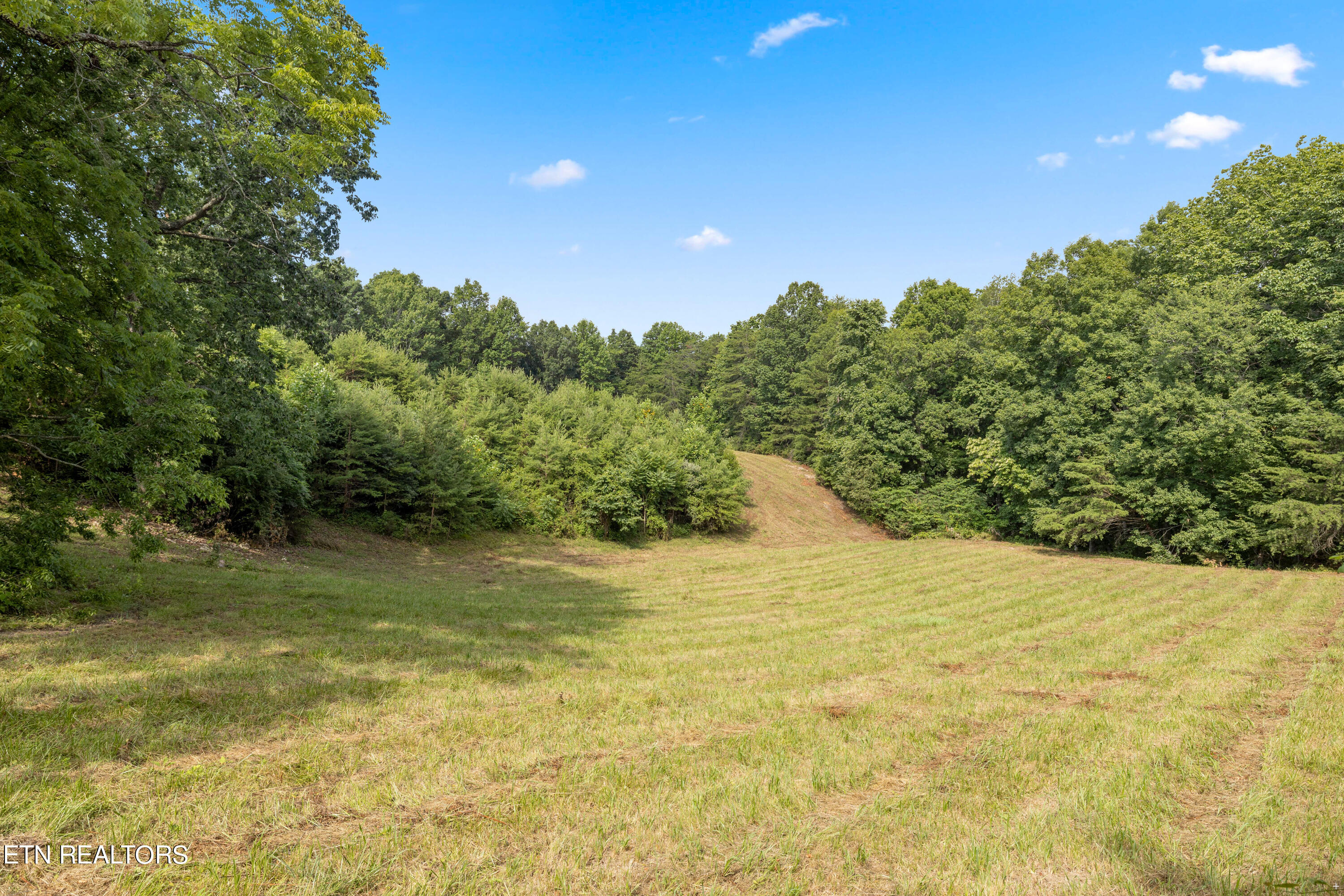0 Chestnut Stump Rd, LaFollette