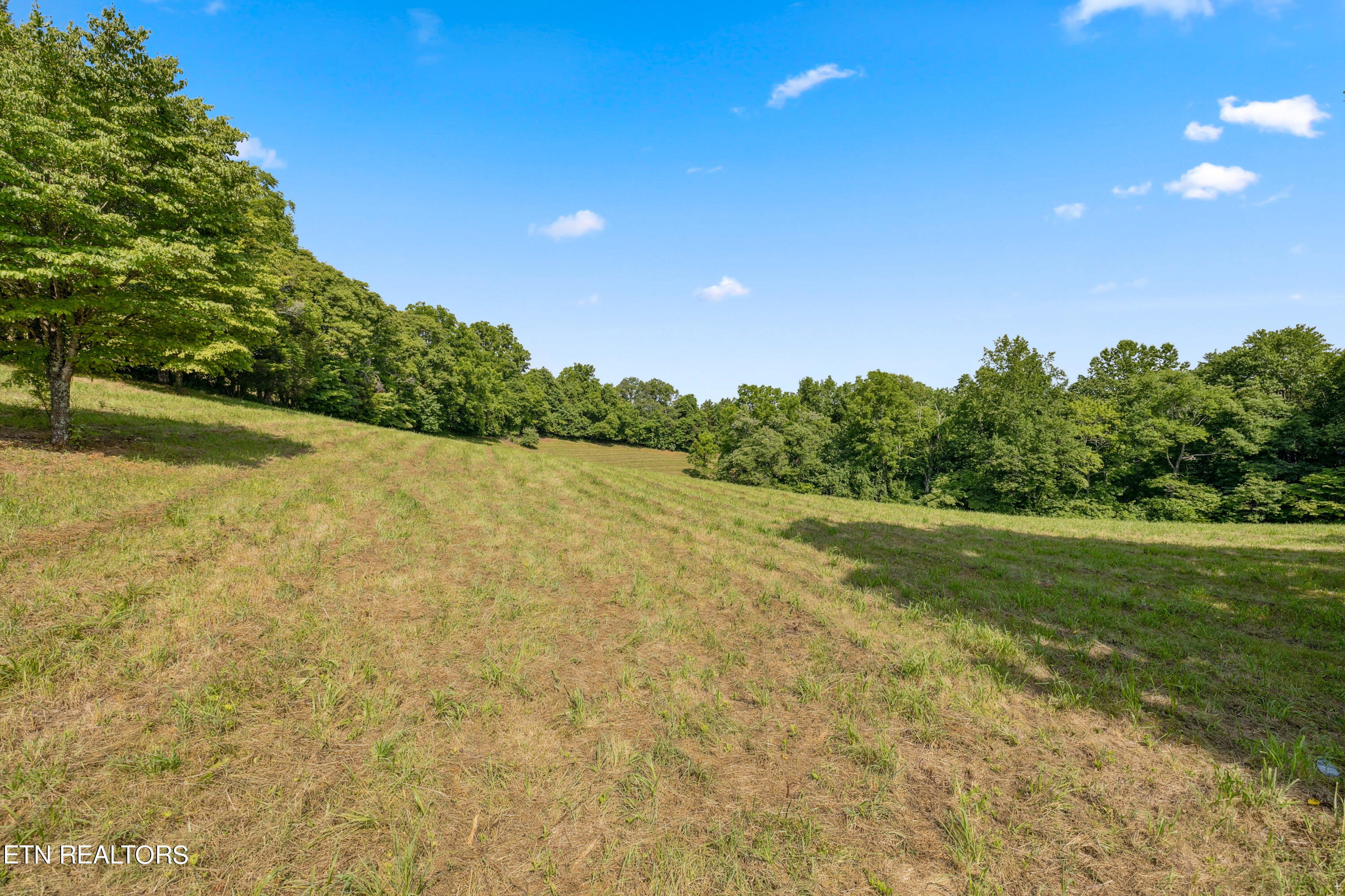 0 Chestnut Stump Rd, LaFollette