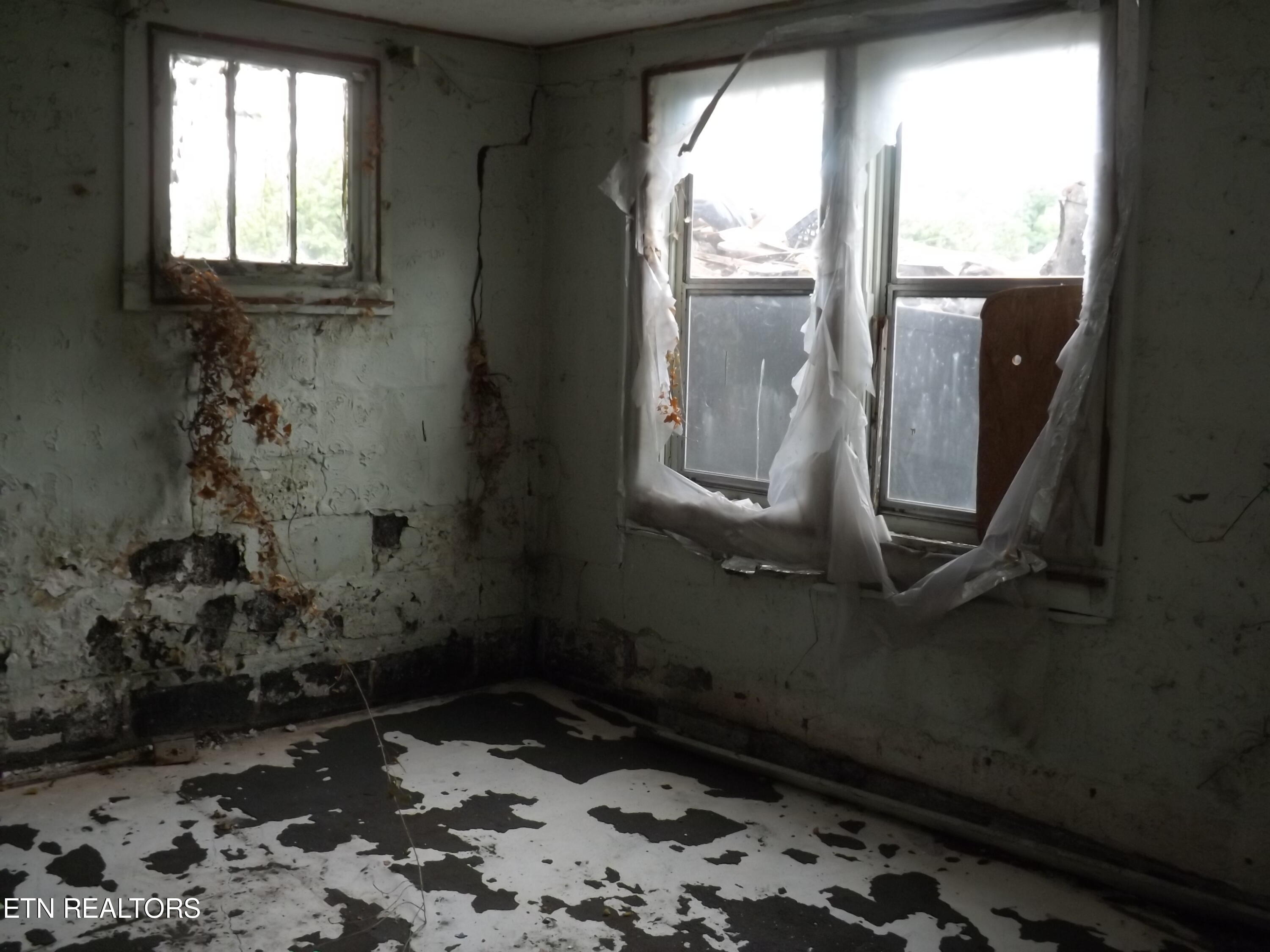 311 S CUMBERLAND Ave, LaFollette